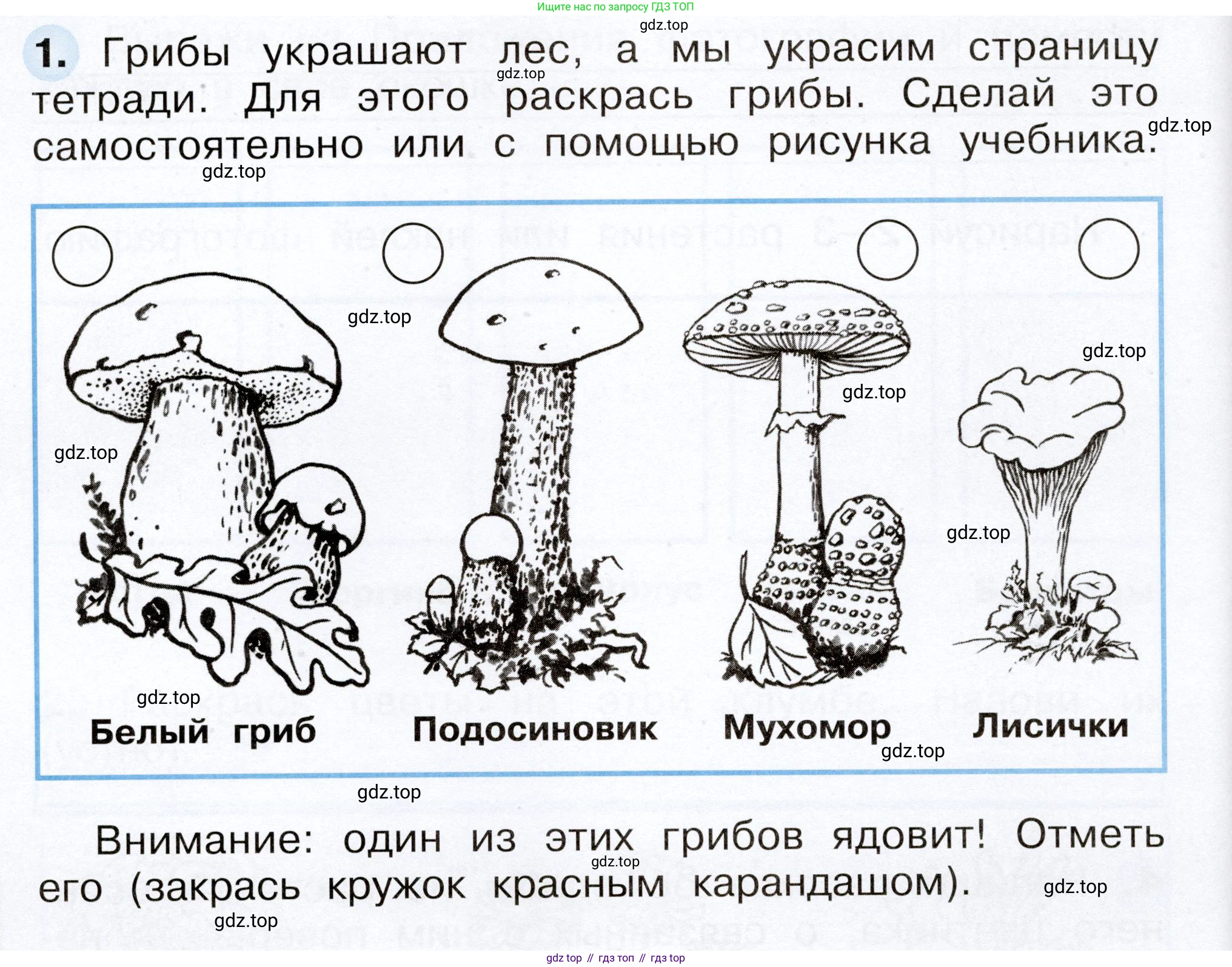 Окружающий мир, 2 класс рабочая тетрадь, авторы: Плешаков Андрей Анатольевич, Новицкая Марина Юрьевна, издательство Просвещение, Москва, 2019, белого цвета, Часть 1, страница 52, номер 1, Условие