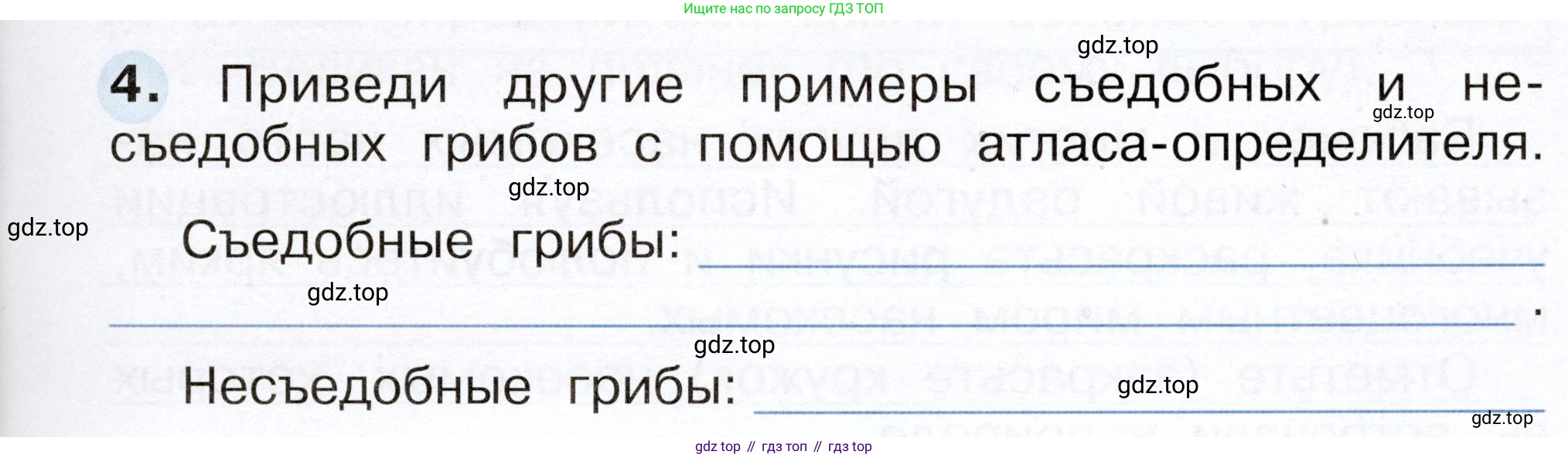 Окружающий мир, 2 класс рабочая тетрадь, авторы: Плешаков Андрей Анатольевич, Новицкая Марина Юрьевна, издательство Просвещение, Москва, 2019, белого цвета, Часть 1, страница 53, номер 4, Условие