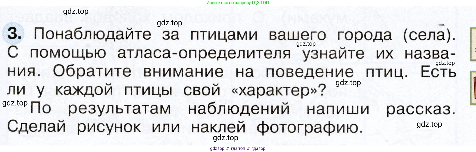 Окружающий мир, 2 класс рабочая тетрадь, авторы: Плешаков Андрей Анатольевич, Новицкая Марина Юрьевна, издательство Просвещение, Москва, 2019, белого цвета, Часть 1, страница 57, номер 3, Условие