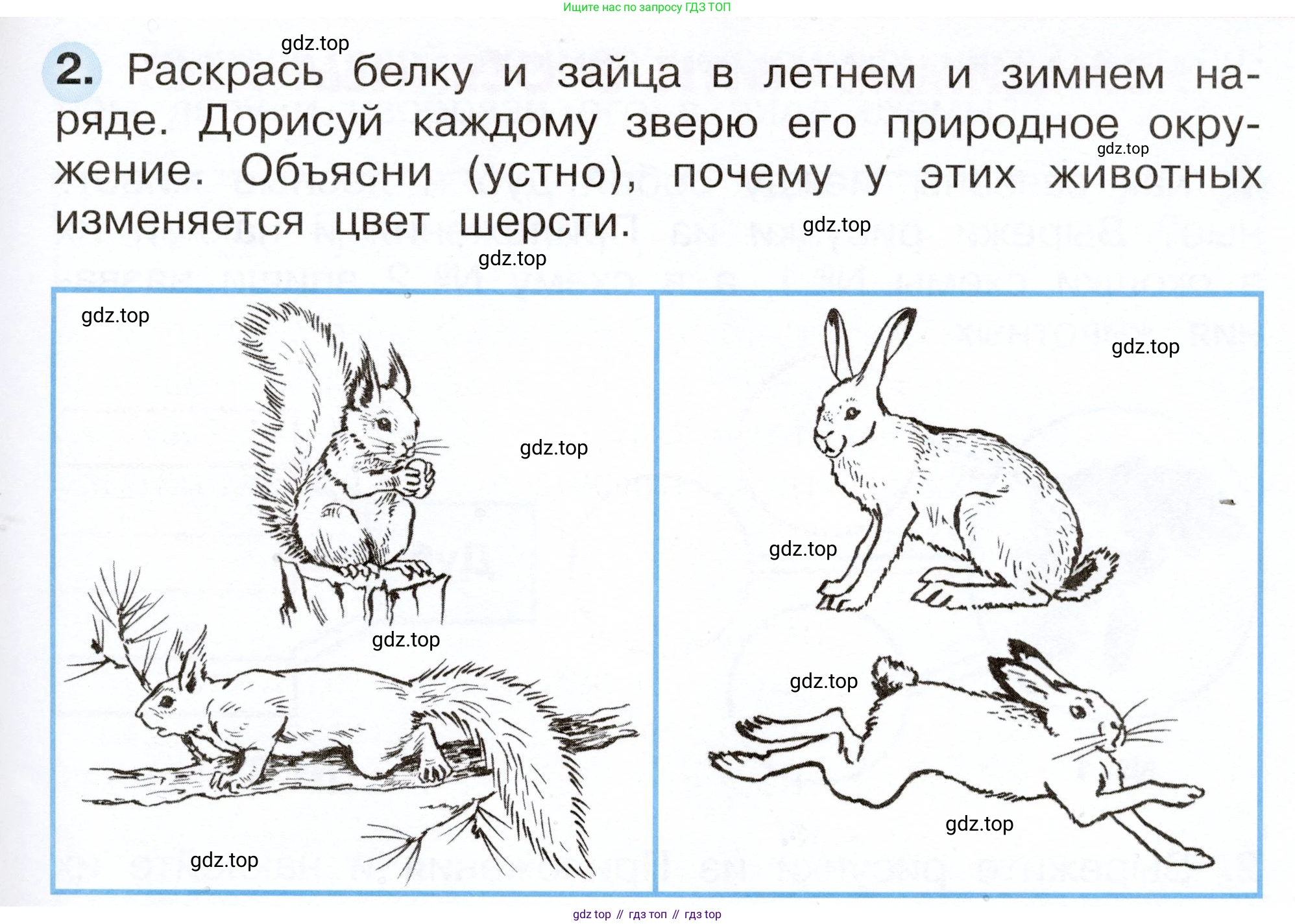 Окружающий мир, 2 класс рабочая тетрадь, авторы: Плешаков Андрей Анатольевич, Новицкая Марина Юрьевна, издательство Просвещение, Москва, 2019, белого цвета, Часть 1, страница 59, номер 2, Условие