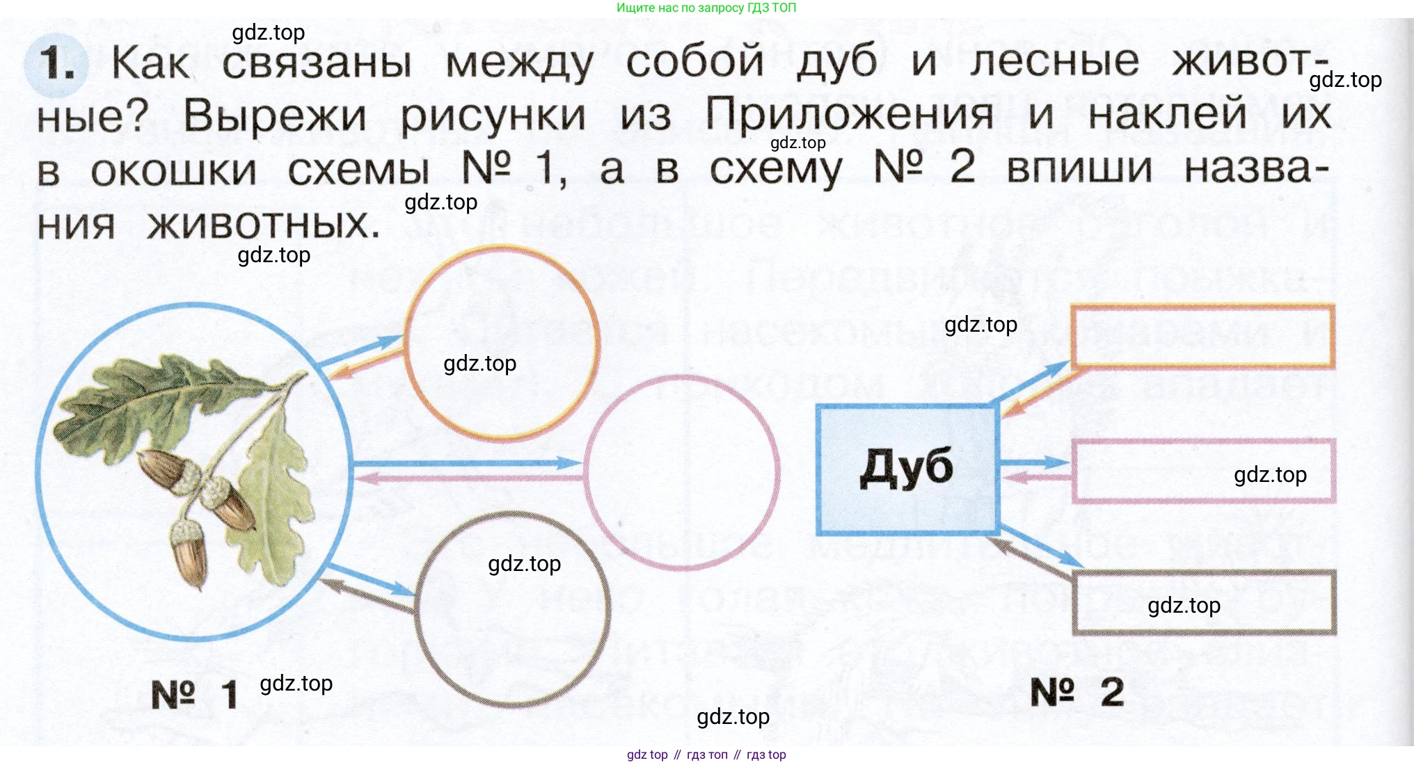Окружающий мир, 2 класс рабочая тетрадь, авторы: Плешаков Андрей Анатольевич, Новицкая Марина Юрьевна, издательство Просвещение, Москва, 2019, белого цвета, Часть 1, страница 60, номер 1, Условие
