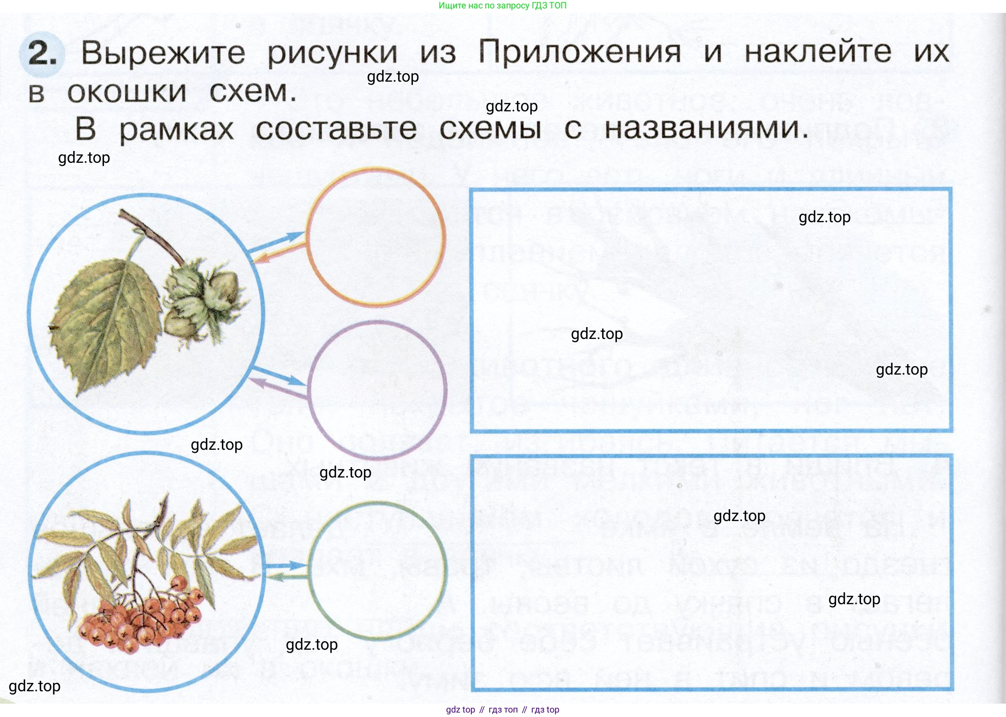 Окружающий мир, 2 класс рабочая тетрадь, авторы: Плешаков Андрей Анатольевич, Новицкая Марина Юрьевна, издательство Просвещение, Москва, 2019, белого цвета, Часть 1, страница 60, номер 2, Условие