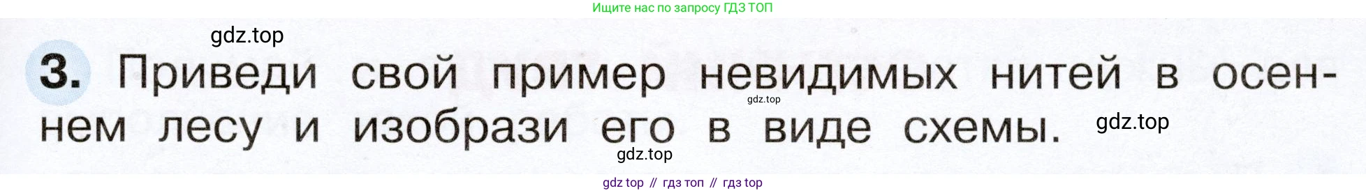 Окружающий мир, 2 класс рабочая тетрадь, авторы: Плешаков Андрей Анатольевич, Новицкая Марина Юрьевна, издательство Просвещение, Москва, 2019, белого цвета, Часть 1, страница 61, номер 3, Условие