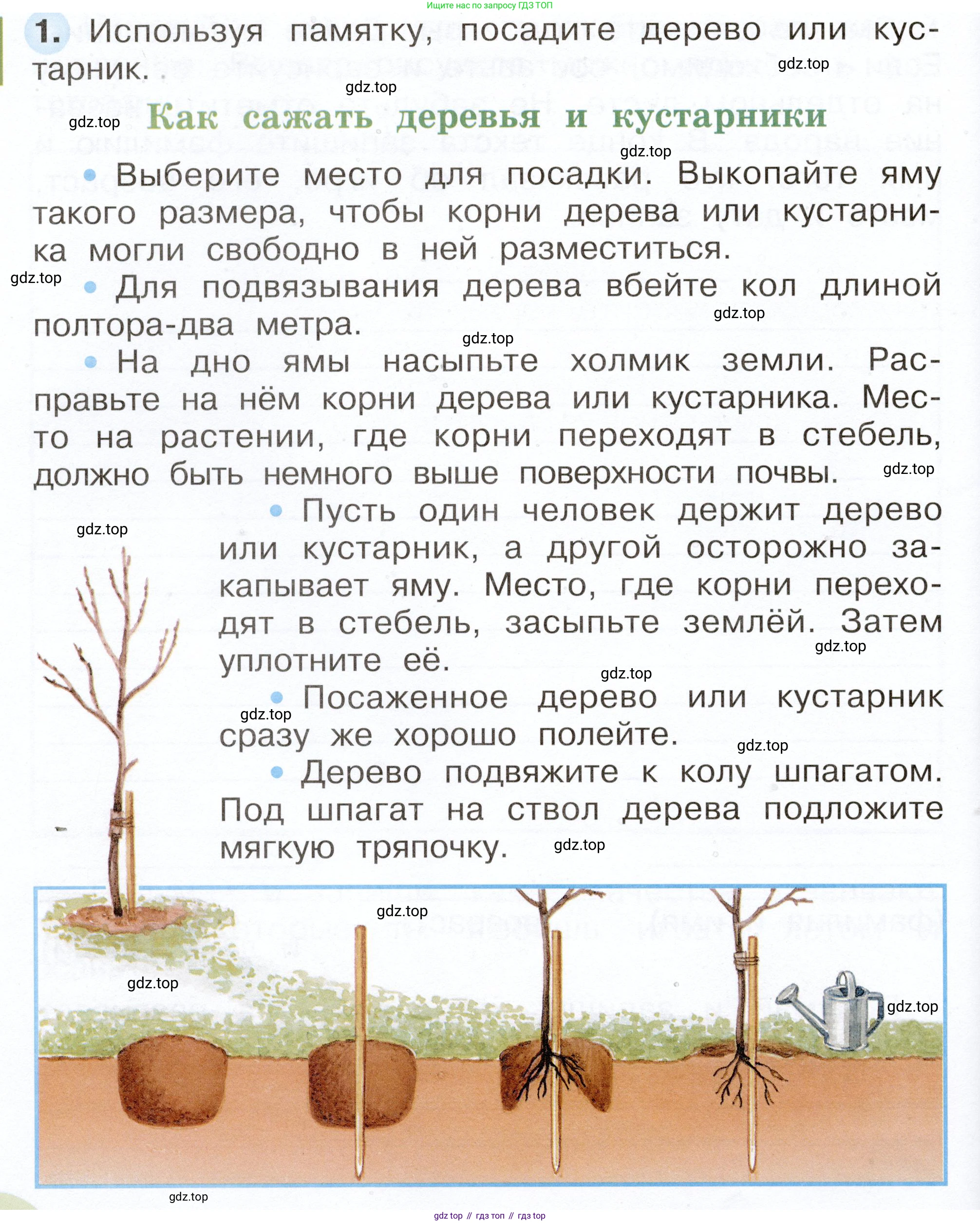 Окружающий мир, 2 класс рабочая тетрадь, авторы: Плешаков Андрей Анатольевич, Новицкая Марина Юрьевна, издательство Просвещение, Москва, 2019, белого цвета, Часть 1, страница 66, номер 1, Условие