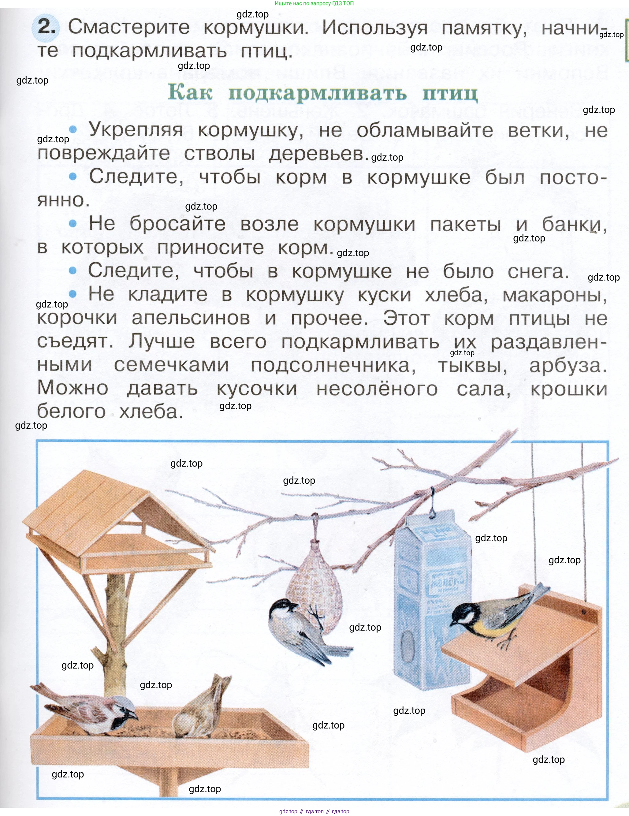 Окружающий мир, 2 класс рабочая тетрадь, авторы: Плешаков Андрей Анатольевич, Новицкая Марина Юрьевна, издательство Просвещение, Москва, 2019, белого цвета, Часть 1, страница 67, номер 2, Условие