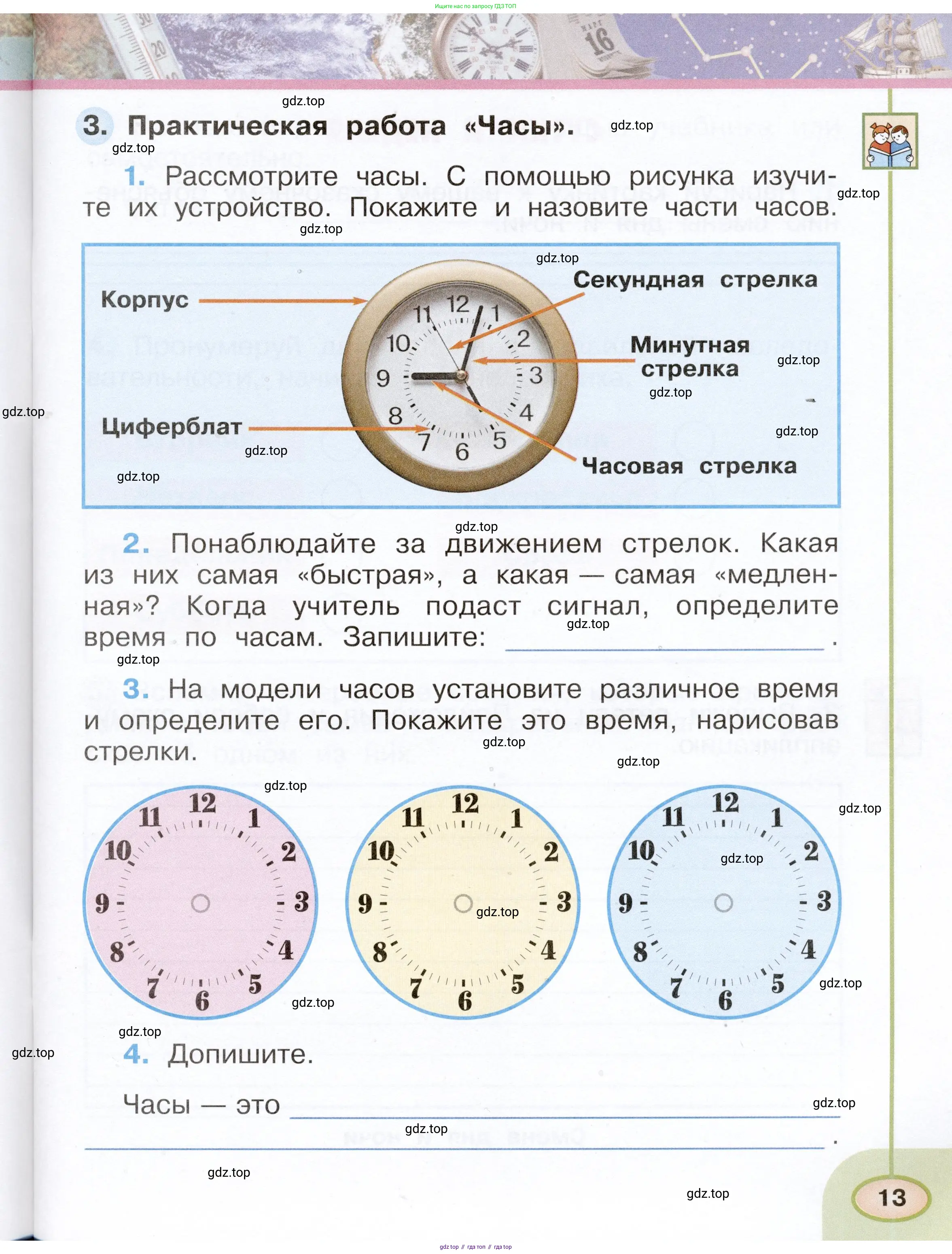 Окружающий мир, 2 класс рабочая тетрадь, авторы: Плешаков Андрей Анатольевич, Новицкая Марина Юрьевна, издательство Просвещение, Москва, 2019, белого цвета, Часть 1, страница 13