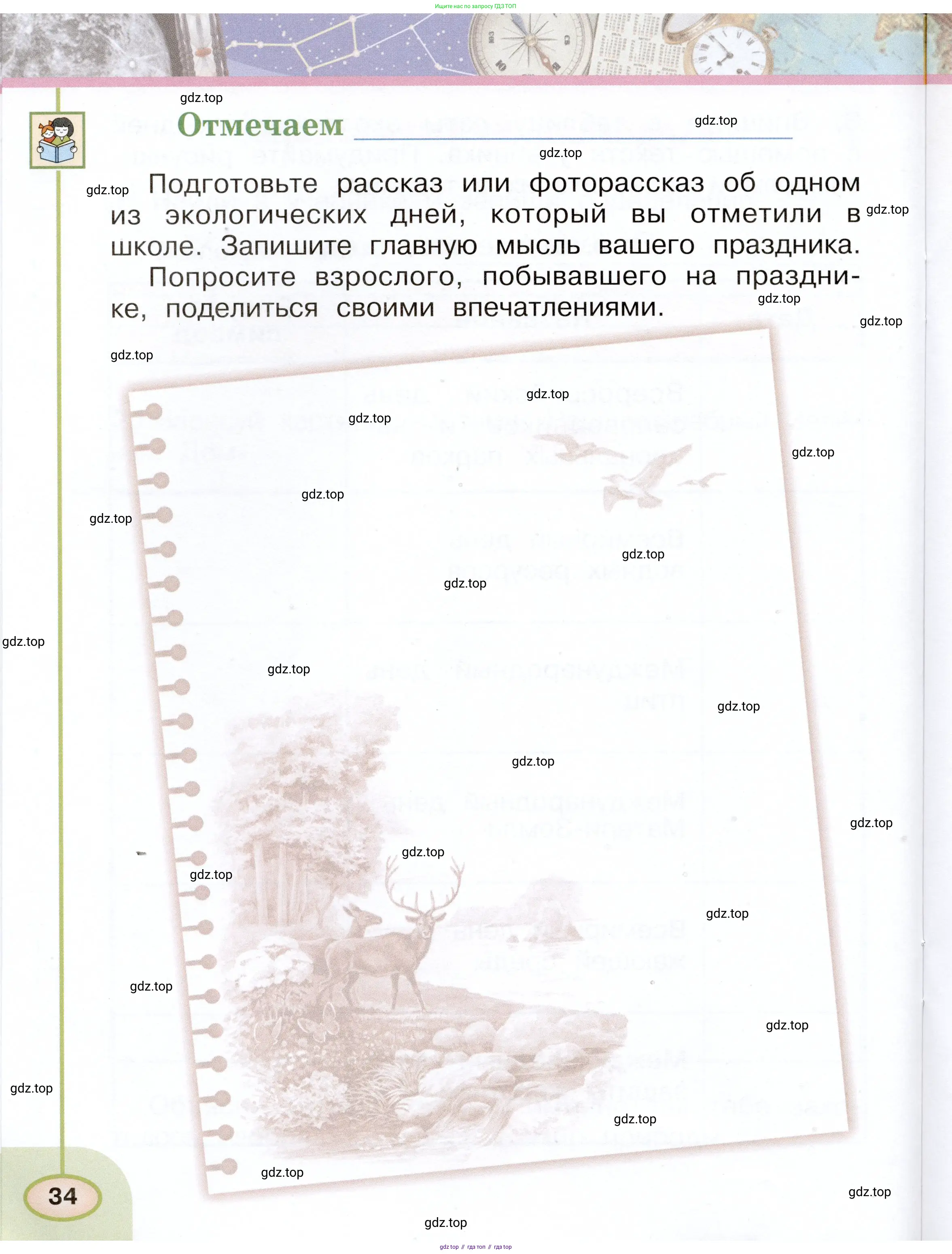 Окружающий мир, 2 класс рабочая тетрадь, авторы: Плешаков Андрей Анатольевич, Новицкая Марина Юрьевна, издательство Просвещение, Москва, 2019, белого цвета, Часть 1, страница 34
