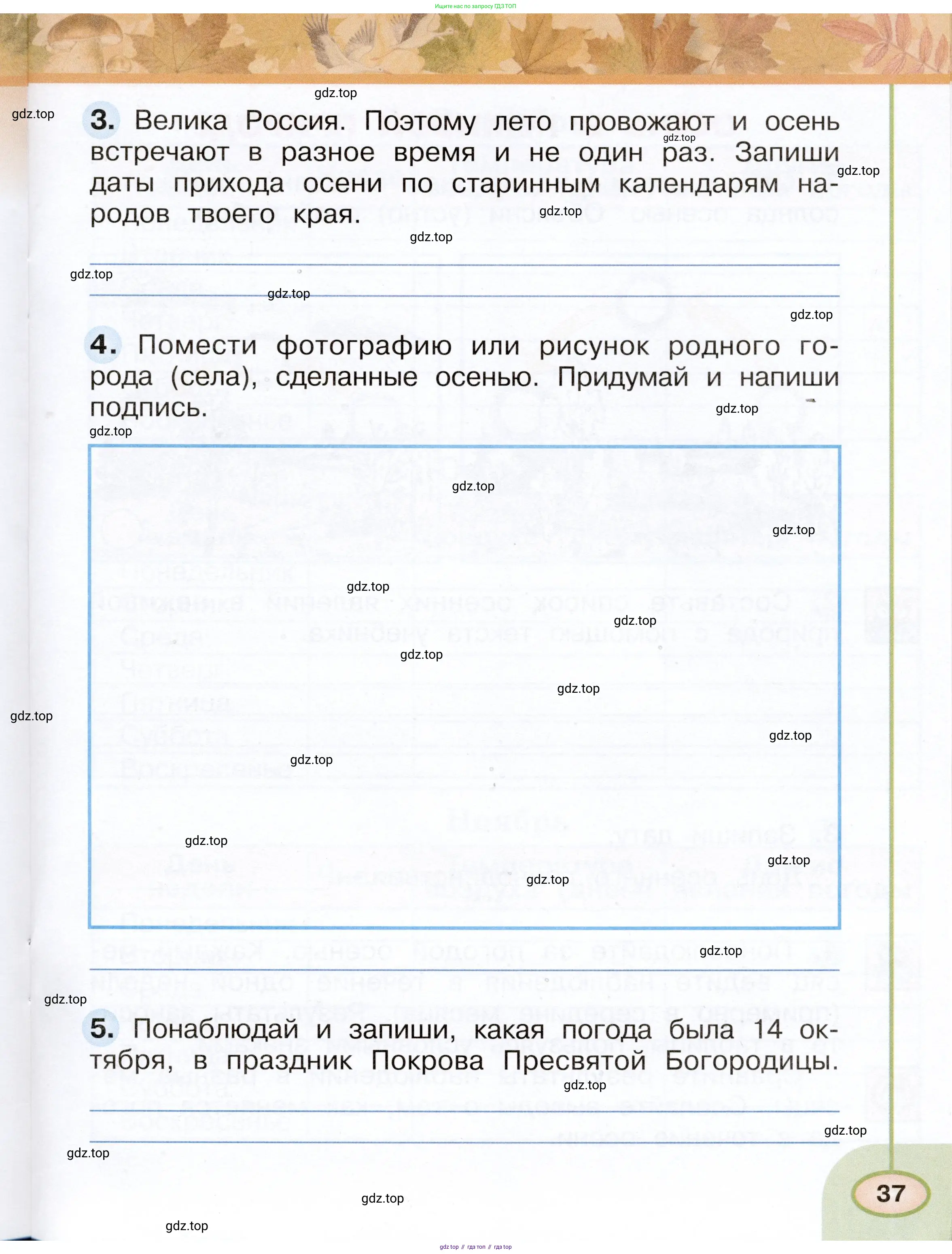 Окружающий мир, 2 класс рабочая тетрадь, авторы: Плешаков Андрей Анатольевич, Новицкая Марина Юрьевна, издательство Просвещение, Москва, 2019, белого цвета, Часть 1, страница 37
