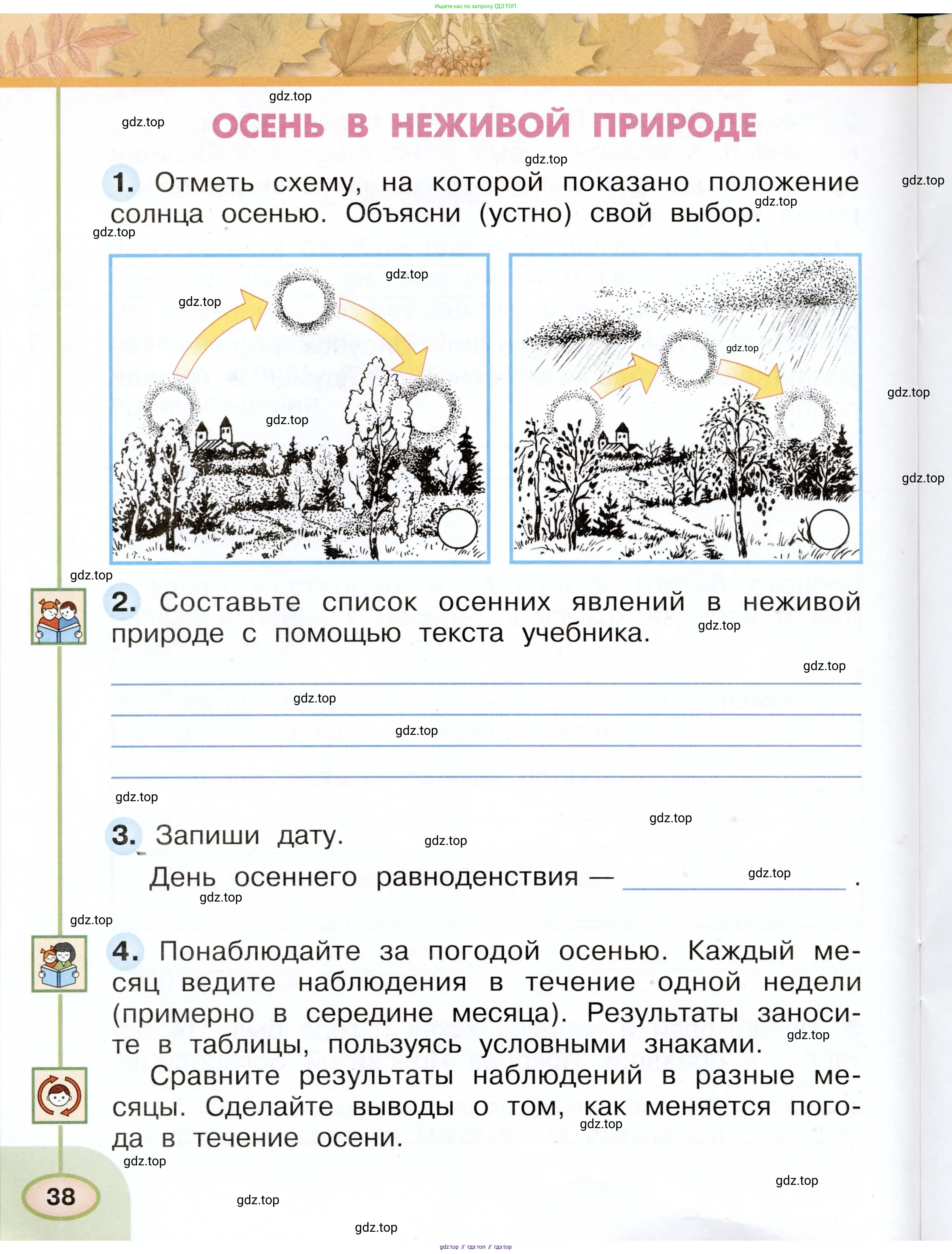 Окружающий мир, 2 класс рабочая тетрадь, авторы: Плешаков Андрей Анатольевич, Новицкая Марина Юрьевна, издательство Просвещение, Москва, 2019, белого цвета, Часть 1, страница 38