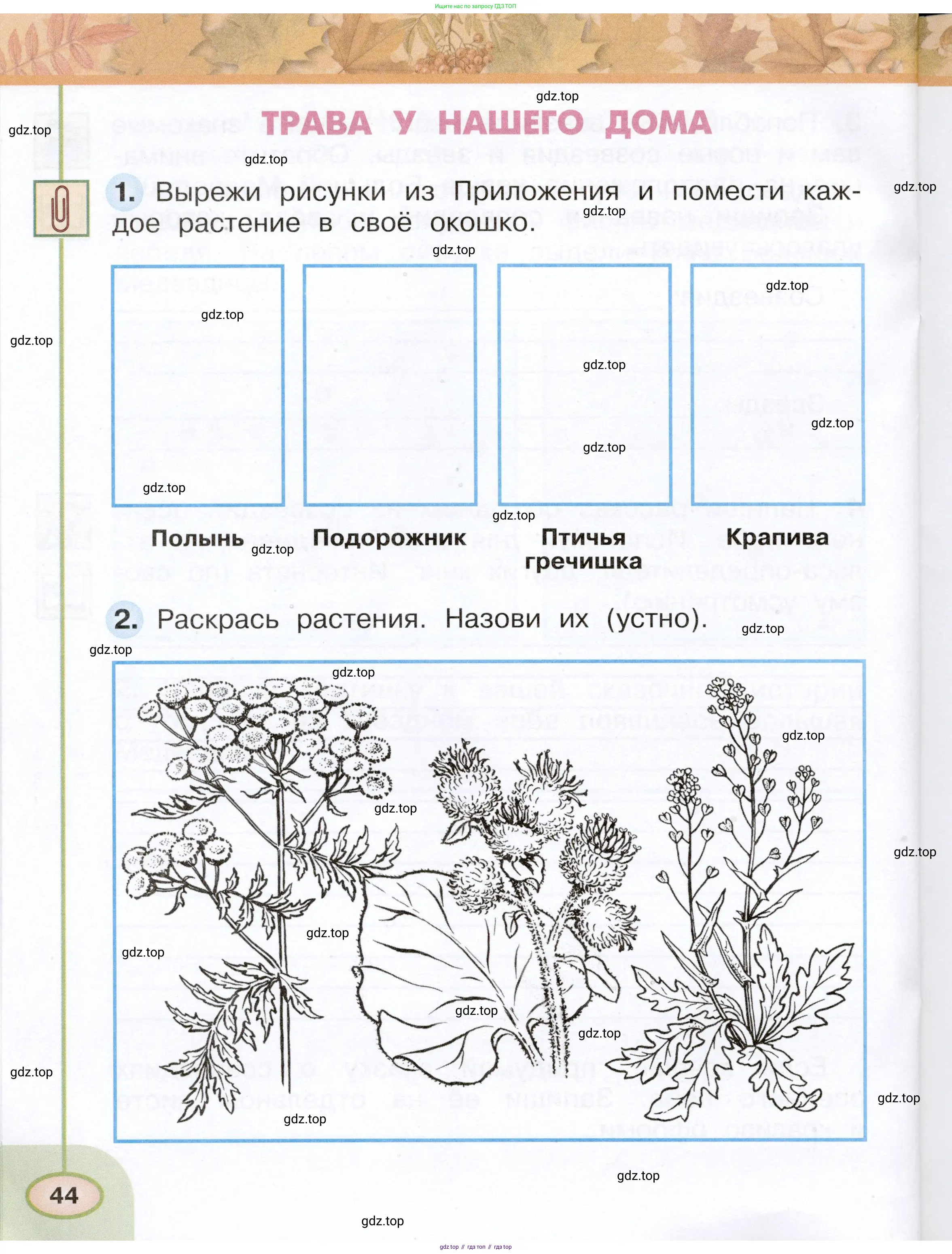 Окружающий мир, 2 класс рабочая тетрадь, авторы: Плешаков Андрей Анатольевич, Новицкая Марина Юрьевна, издательство Просвещение, Москва, 2019, белого цвета, Часть 1, страница 44