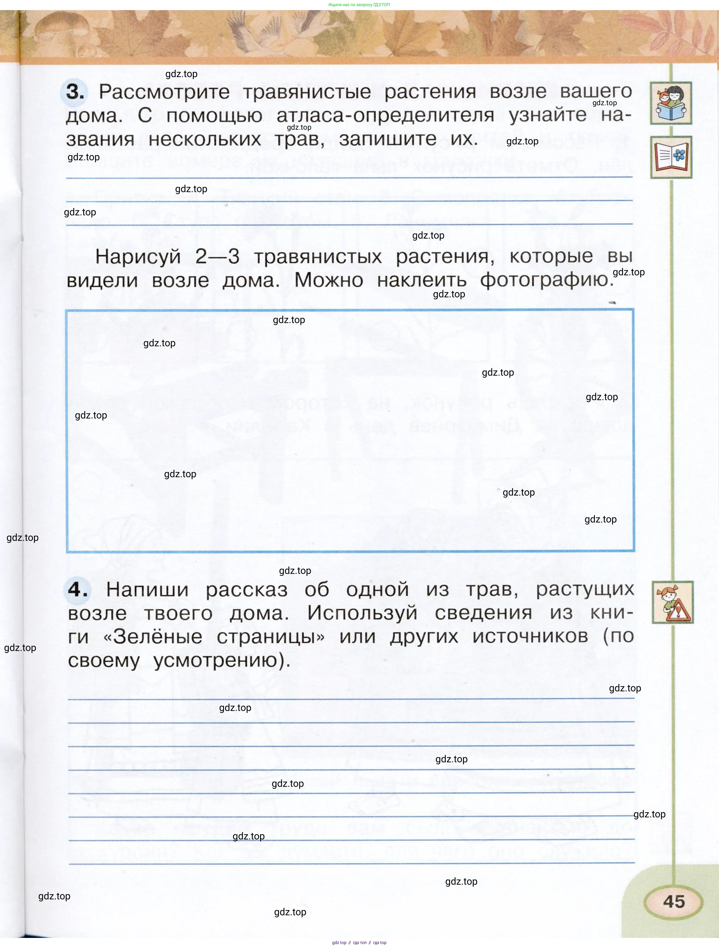 Окружающий мир, 2 класс рабочая тетрадь, авторы: Плешаков Андрей Анатольевич, Новицкая Марина Юрьевна, издательство Просвещение, Москва, 2019, белого цвета, Часть 1, страница 45