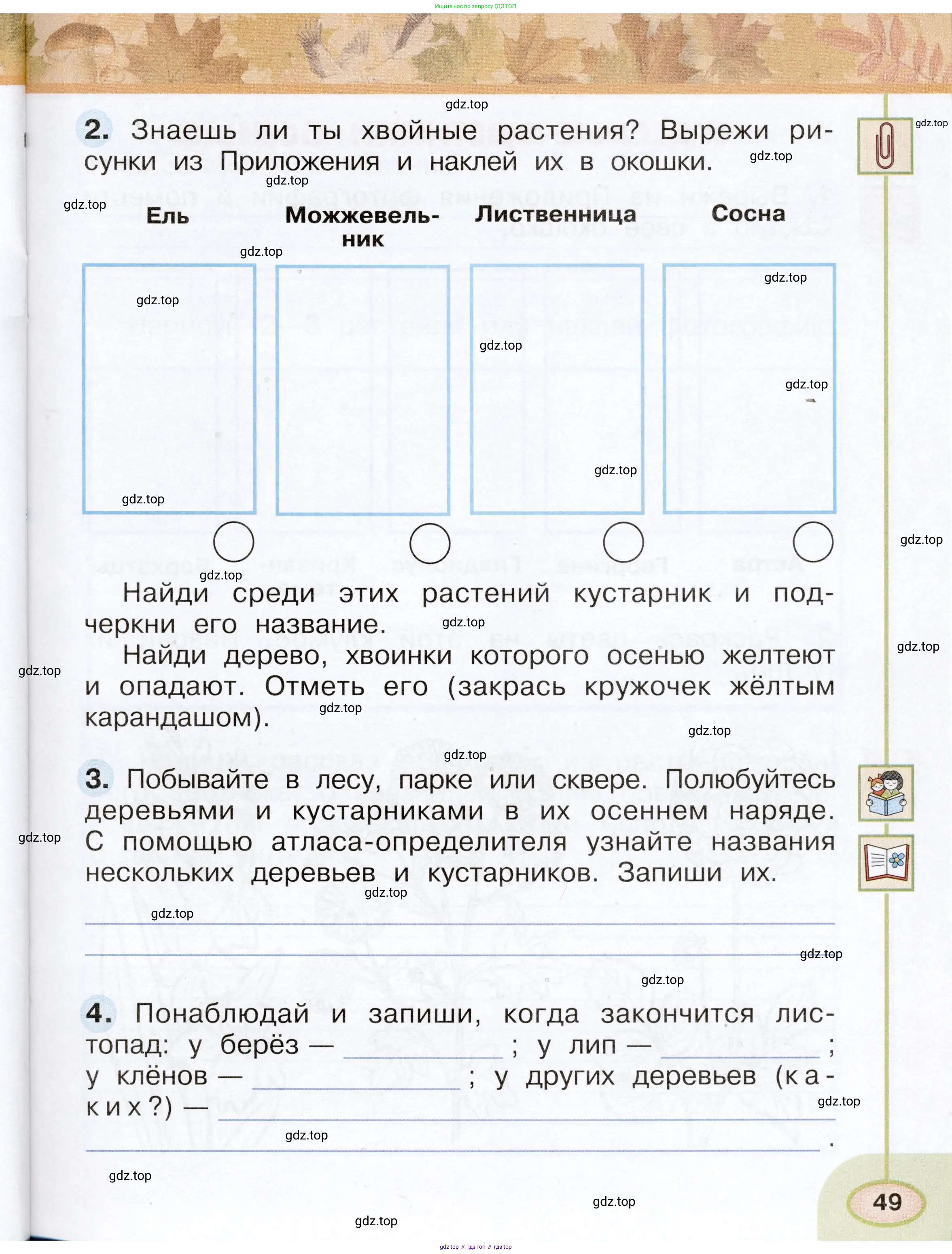 Окружающий мир, 2 класс рабочая тетрадь, авторы: Плешаков Андрей Анатольевич, Новицкая Марина Юрьевна, издательство Просвещение, Москва, 2019, белого цвета, Часть 1, страница 49