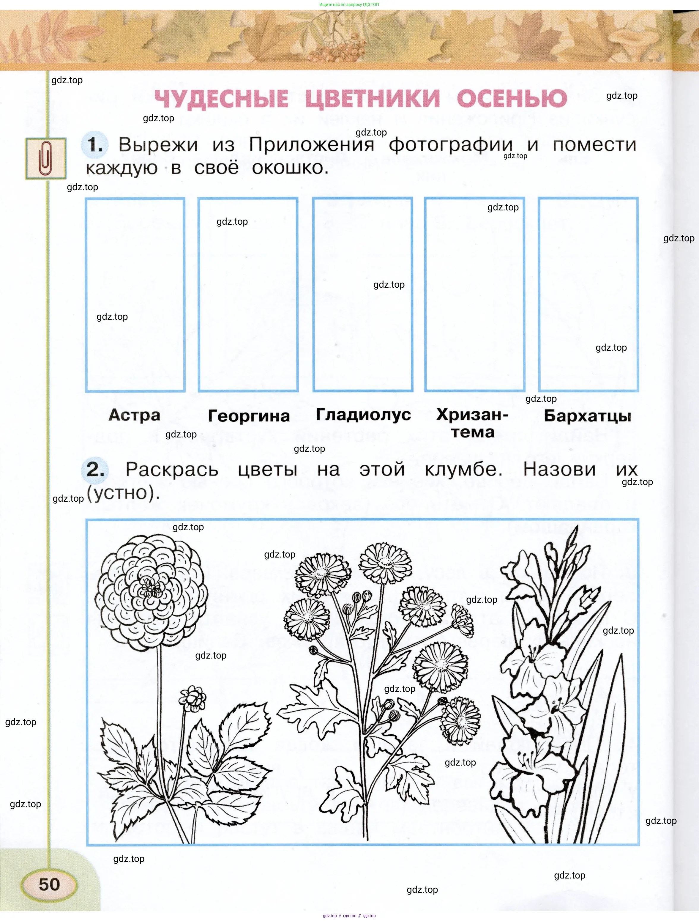 Окружающий мир, 2 класс рабочая тетрадь, авторы: Плешаков Андрей Анатольевич, Новицкая Марина Юрьевна, издательство Просвещение, Москва, 2019, белого цвета, Часть 1, страница 50