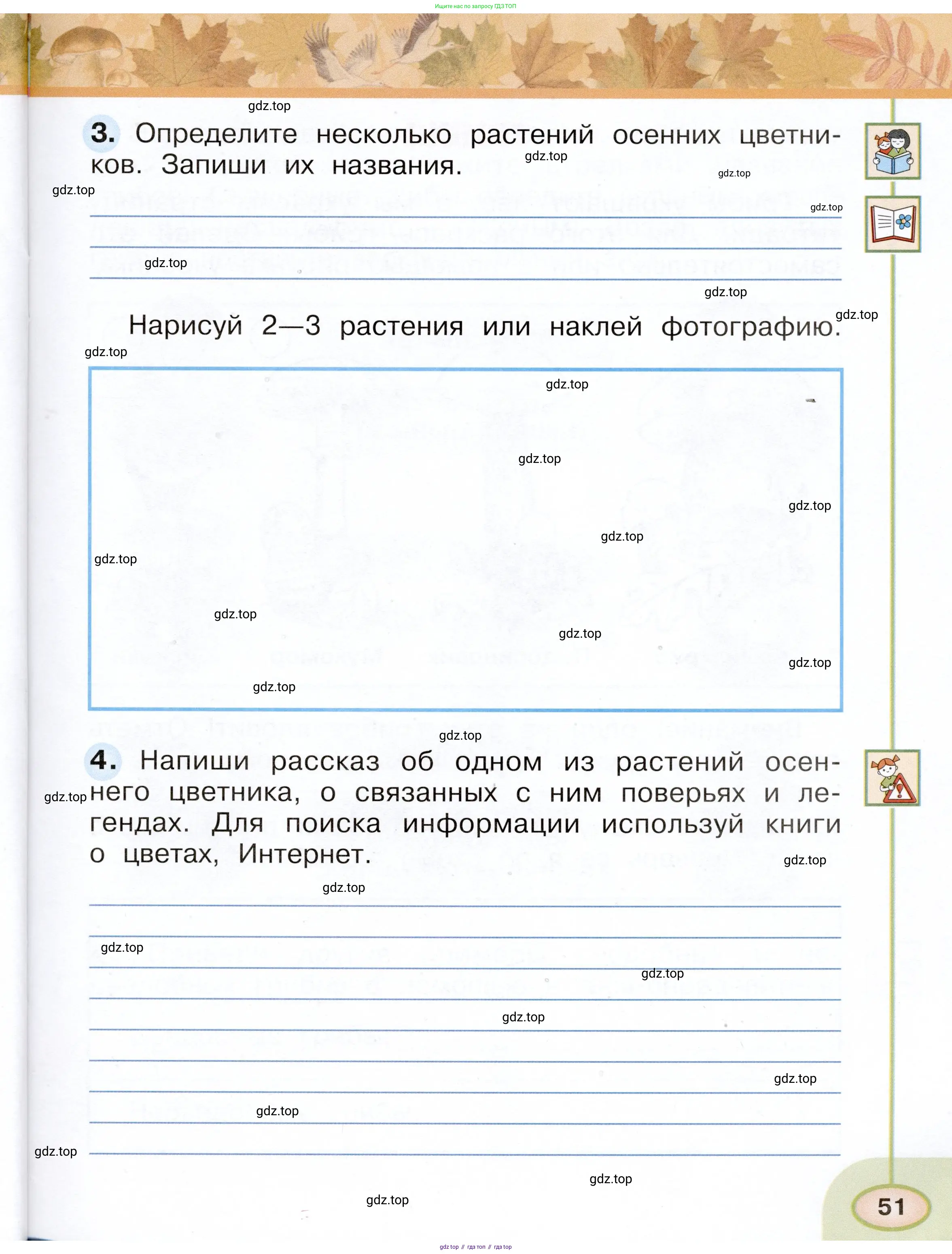 Окружающий мир, 2 класс рабочая тетрадь, авторы: Плешаков Андрей Анатольевич, Новицкая Марина Юрьевна, издательство Просвещение, Москва, 2019, белого цвета, Часть 1, страница 51
