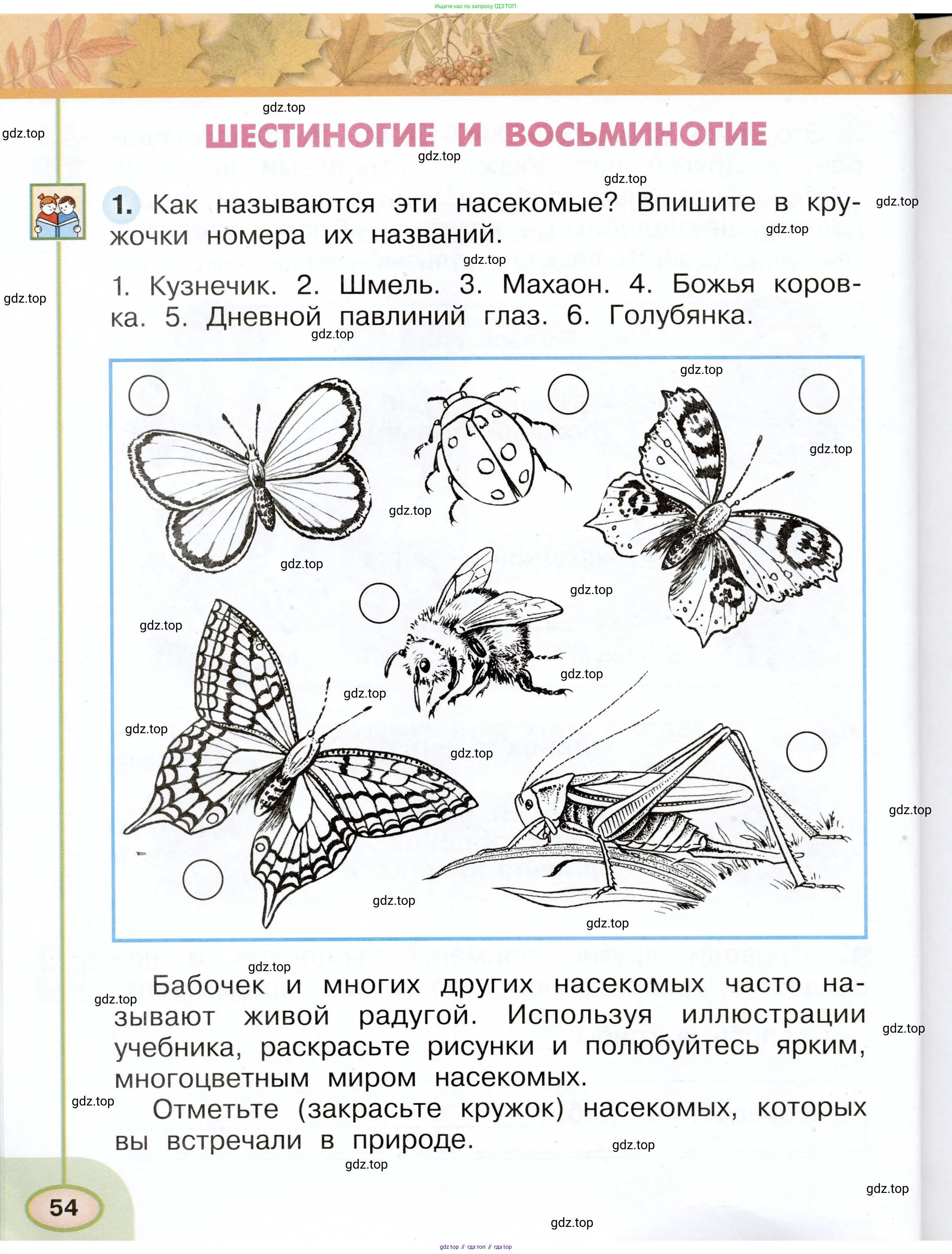 Окружающий мир, 2 класс рабочая тетрадь, авторы: Плешаков Андрей Анатольевич, Новицкая Марина Юрьевна, издательство Просвещение, Москва, 2019, белого цвета, Часть 1, страница 54