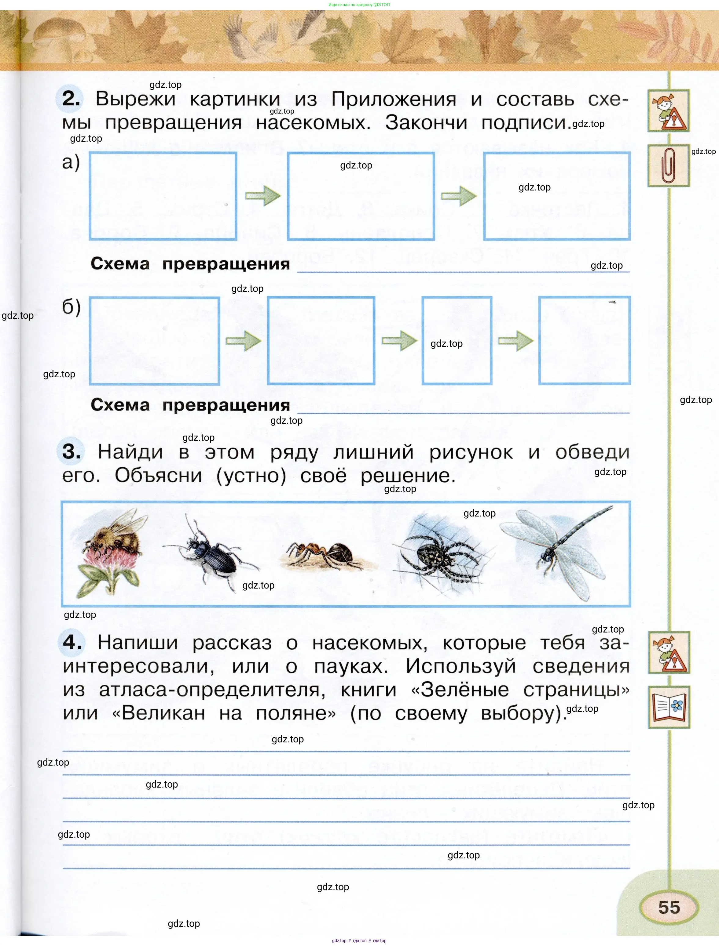 Окружающий мир, 2 класс рабочая тетрадь, авторы: Плешаков Андрей Анатольевич, Новицкая Марина Юрьевна, издательство Просвещение, Москва, 2019, белого цвета, Часть 1, страница 55