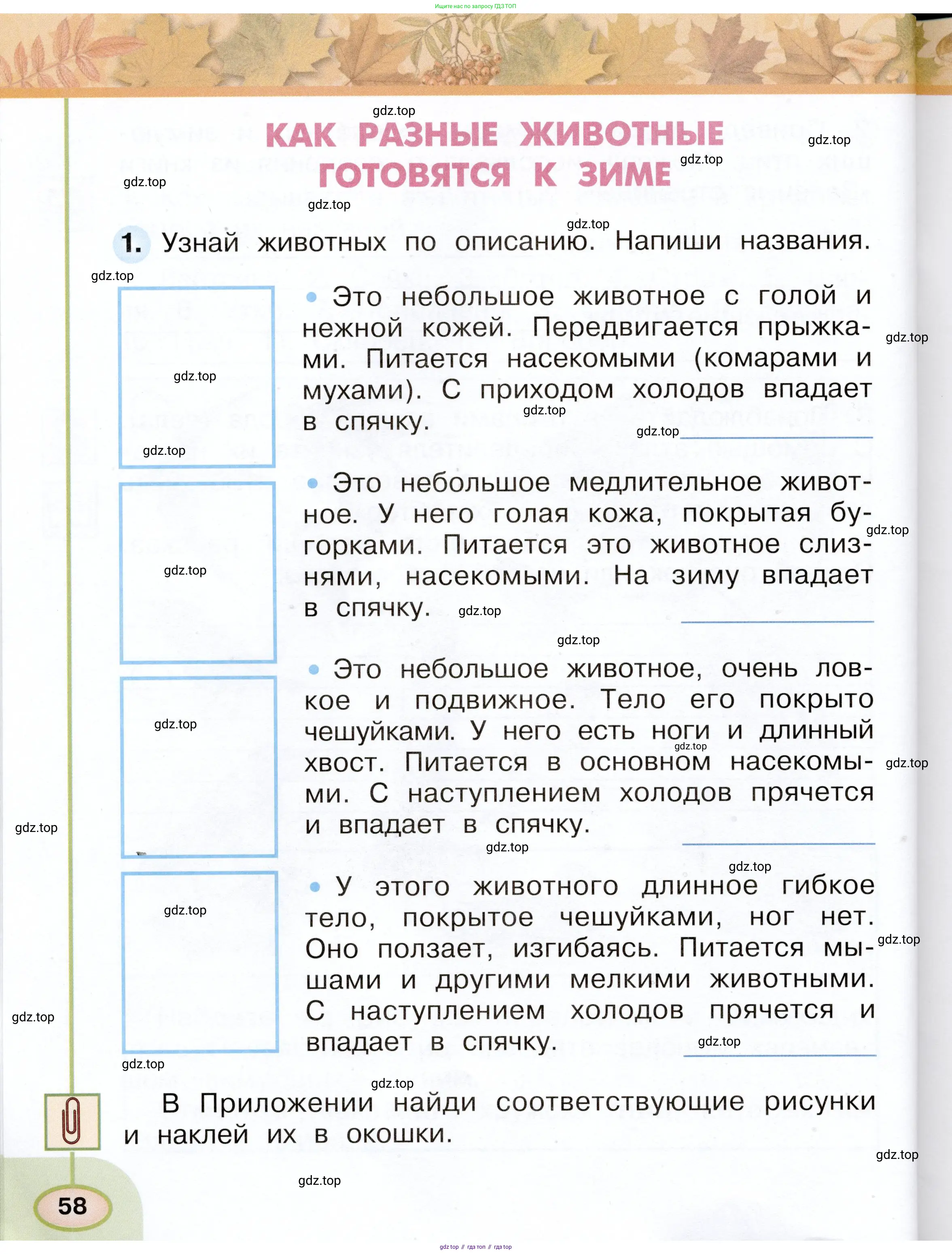 Окружающий мир, 2 класс рабочая тетрадь, авторы: Плешаков Андрей Анатольевич, Новицкая Марина Юрьевна, издательство Просвещение, Москва, 2019, белого цвета, Часть 1, страница 58