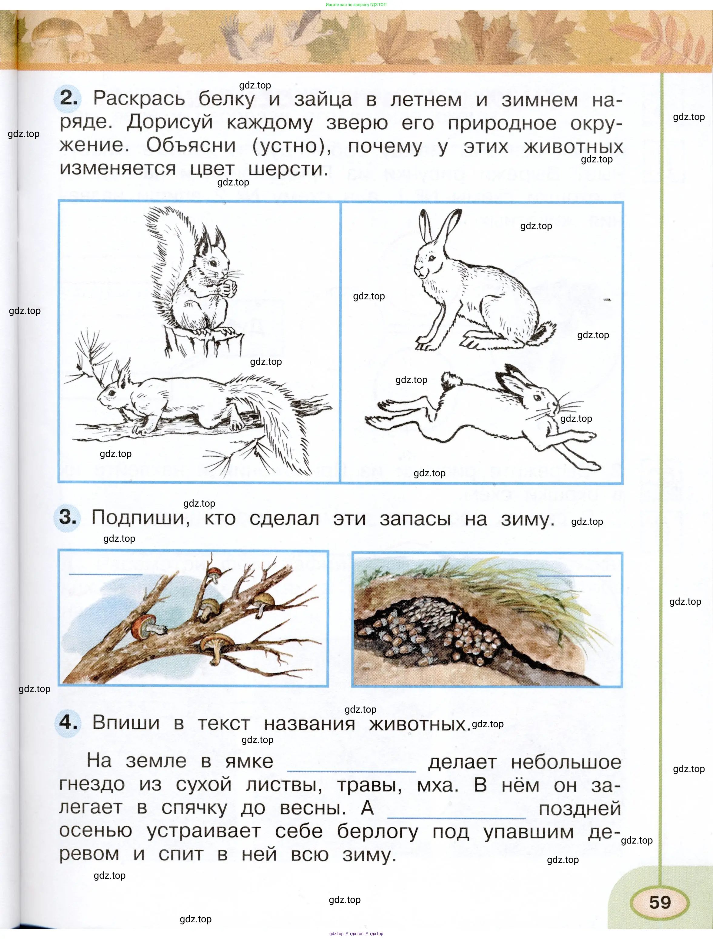 Окружающий мир, 2 класс рабочая тетрадь, авторы: Плешаков Андрей Анатольевич, Новицкая Марина Юрьевна, издательство Просвещение, Москва, 2019, белого цвета, Часть 1, страница 59