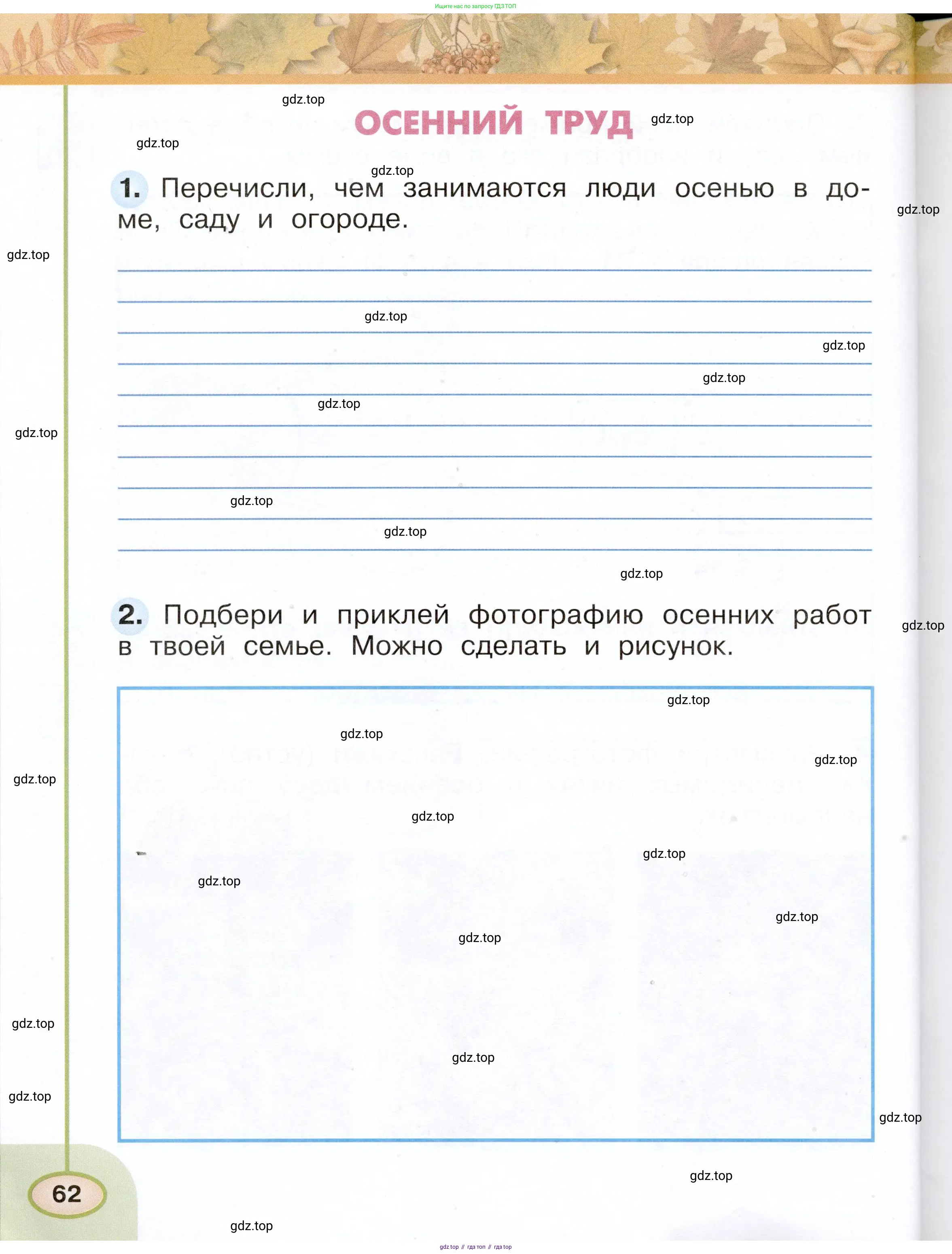Окружающий мир, 2 класс рабочая тетрадь, авторы: Плешаков Андрей Анатольевич, Новицкая Марина Юрьевна, издательство Просвещение, Москва, 2019, белого цвета, Часть 1, страница 62