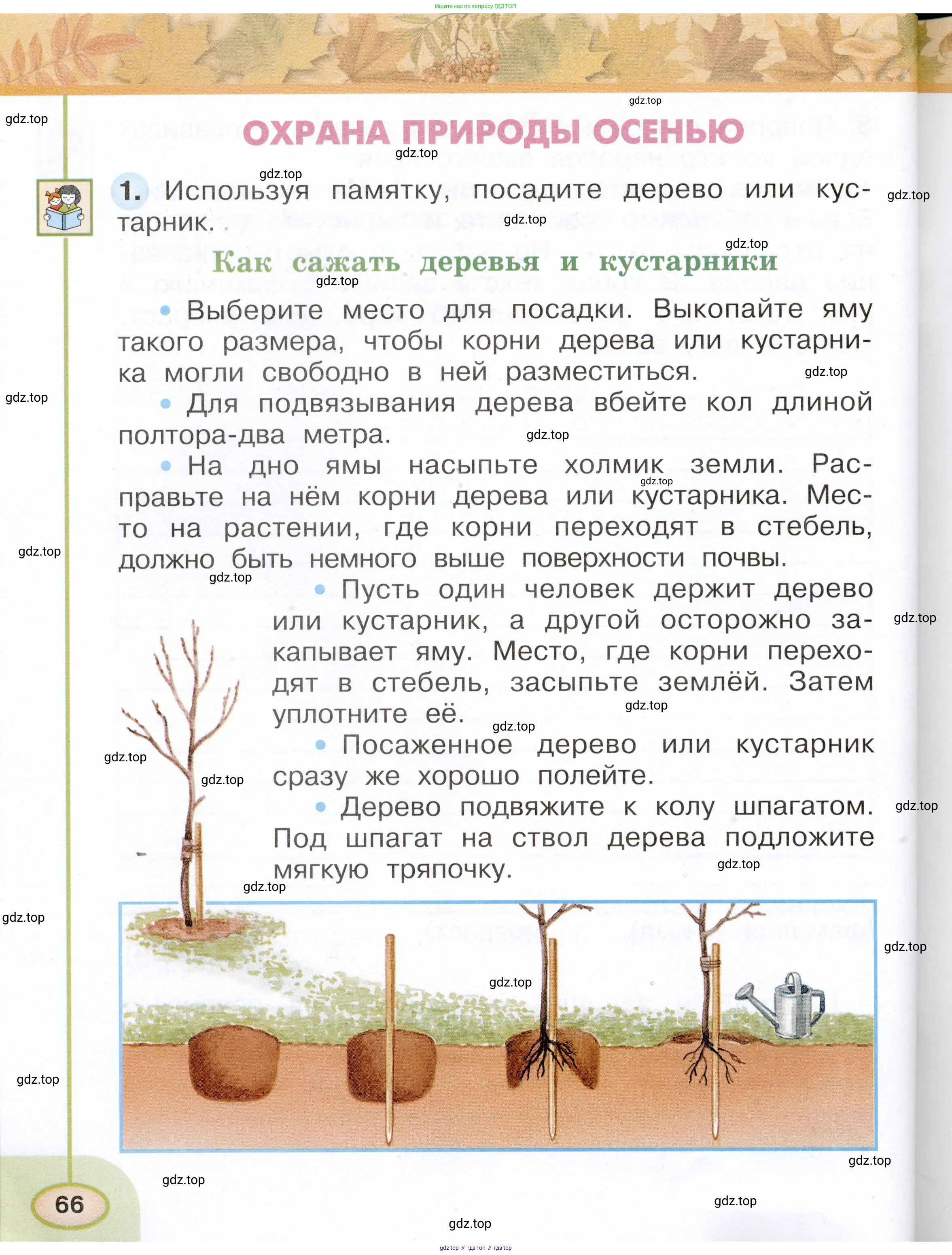 Окружающий мир, 2 класс рабочая тетрадь, авторы: Плешаков Андрей Анатольевич, Новицкая Марина Юрьевна, издательство Просвещение, Москва, 2019, белого цвета, Часть 1, страница 66