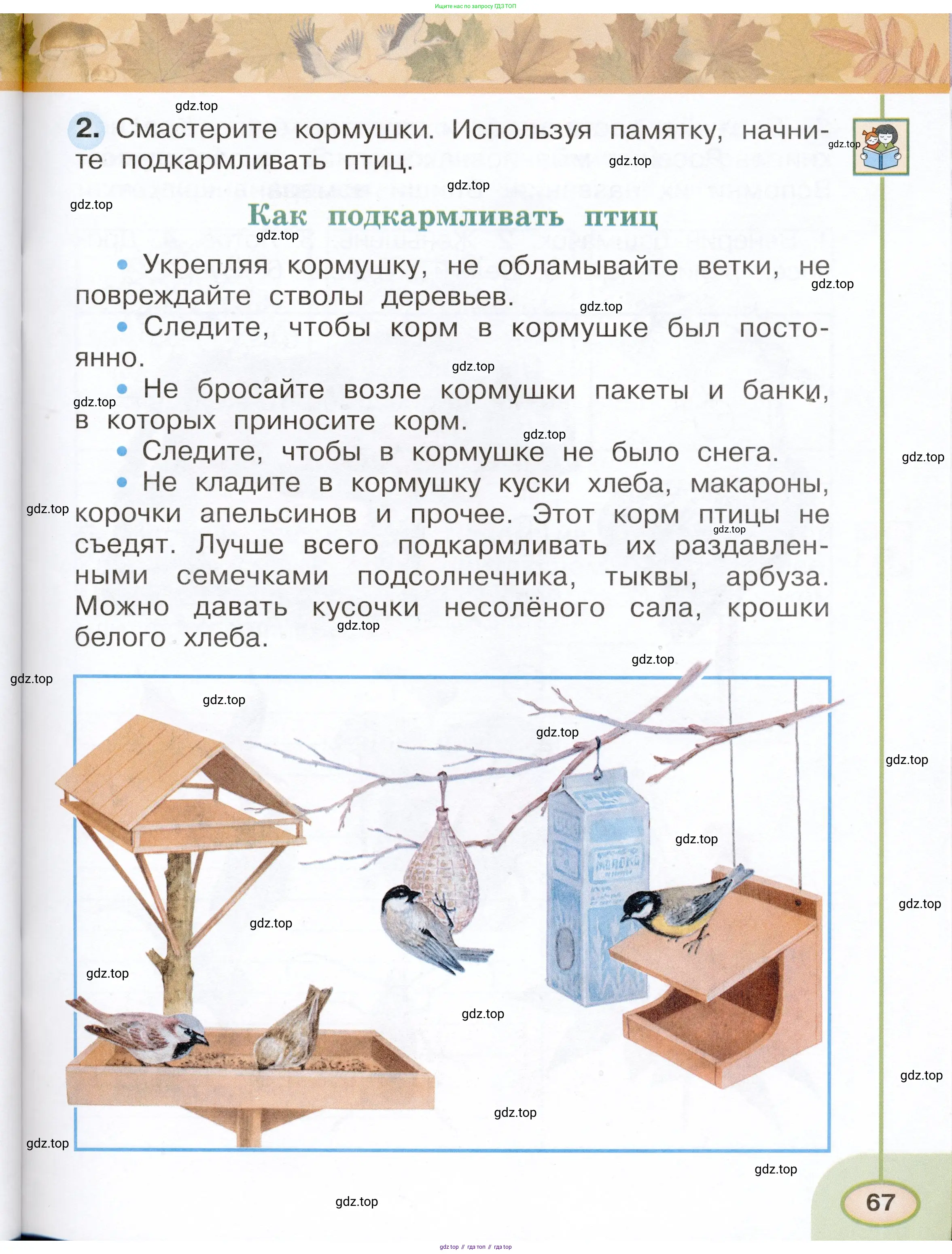 Окружающий мир, 2 класс рабочая тетрадь, авторы: Плешаков Андрей Анатольевич, Новицкая Марина Юрьевна, издательство Просвещение, Москва, 2019, белого цвета, Часть 1, страница 67