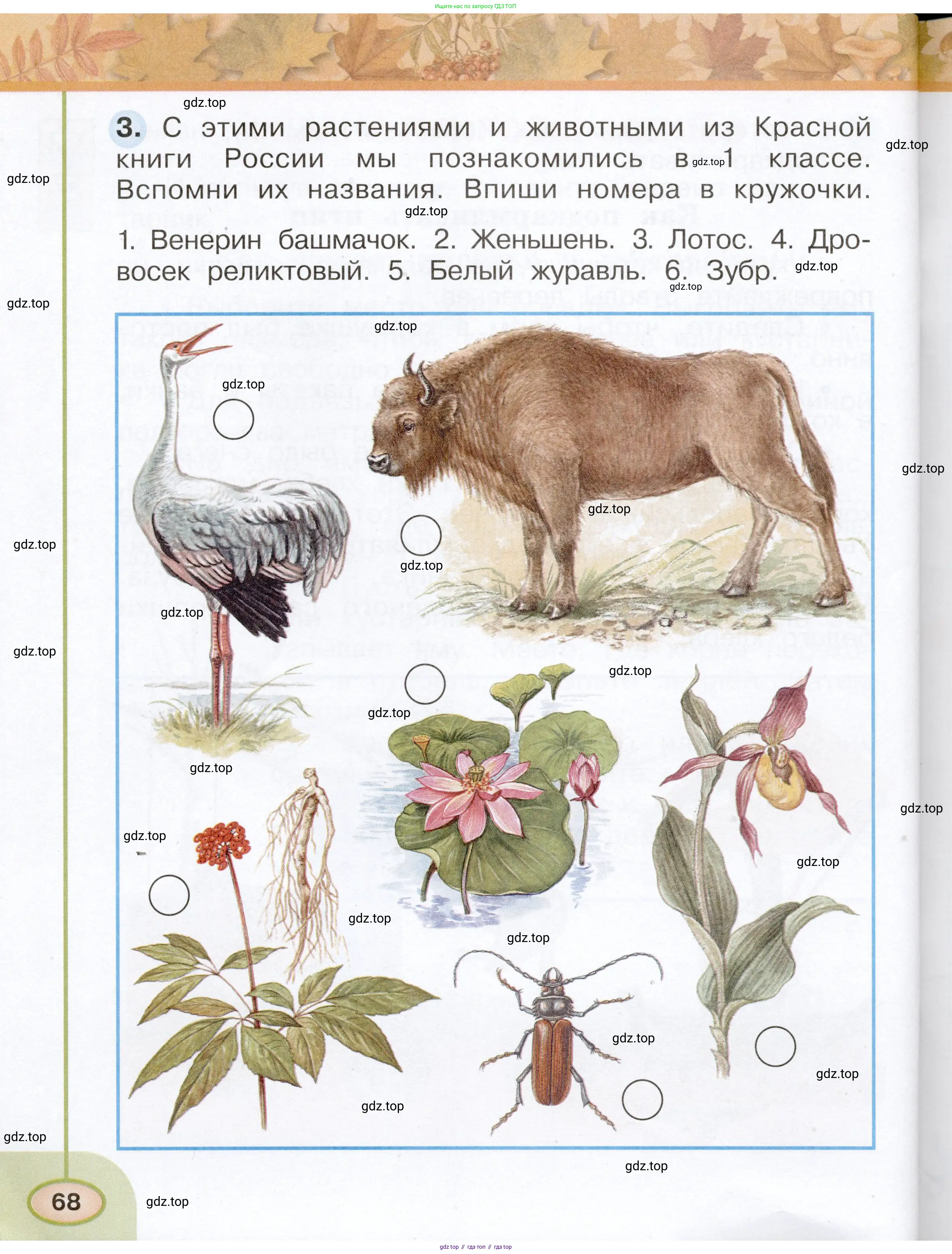 Окружающий мир, 2 класс рабочая тетрадь, авторы: Плешаков Андрей Анатольевич, Новицкая Марина Юрьевна, издательство Просвещение, Москва, 2019, белого цвета, Часть 1, страница 68