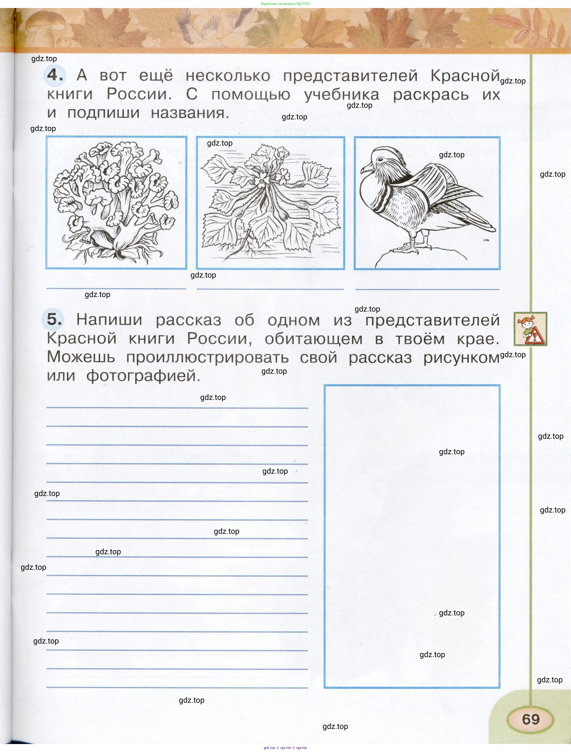 Окружающий мир, 2 класс рабочая тетрадь, авторы: Плешаков Андрей Анатольевич, Новицкая Марина Юрьевна, издательство Просвещение, Москва, 2019, белого цвета, Часть 1, страница 69