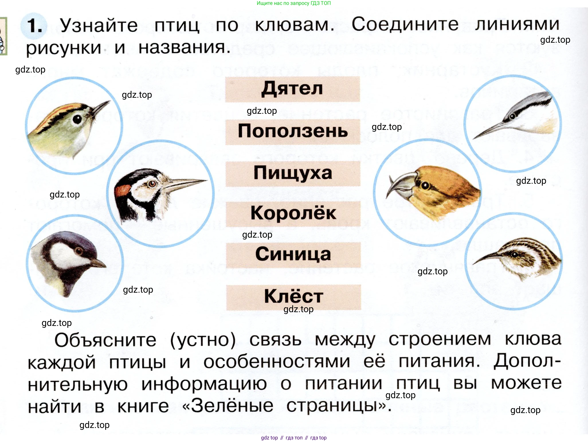 Окружающий мир, 2 класс рабочая тетрадь, авторы: Плешаков Андрей Анатольевич, Новицкая Марина Юрьевна, издательство Просвещение, Москва, 2019, белого цвета, Часть 2, страница 18, номер 1, Условие