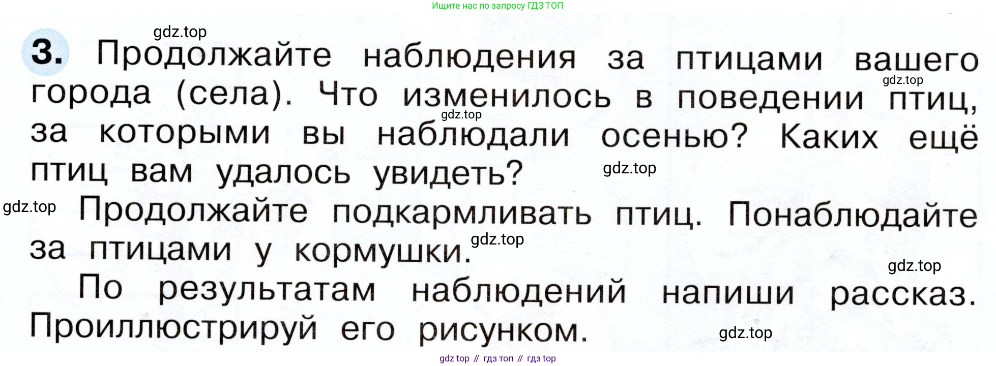 Окружающий мир, 2 класс рабочая тетрадь, авторы: Плешаков Андрей Анатольевич, Новицкая Марина Юрьевна, издательство Просвещение, Москва, 2019, белого цвета, Часть 2, страница 19, номер 3, Условие