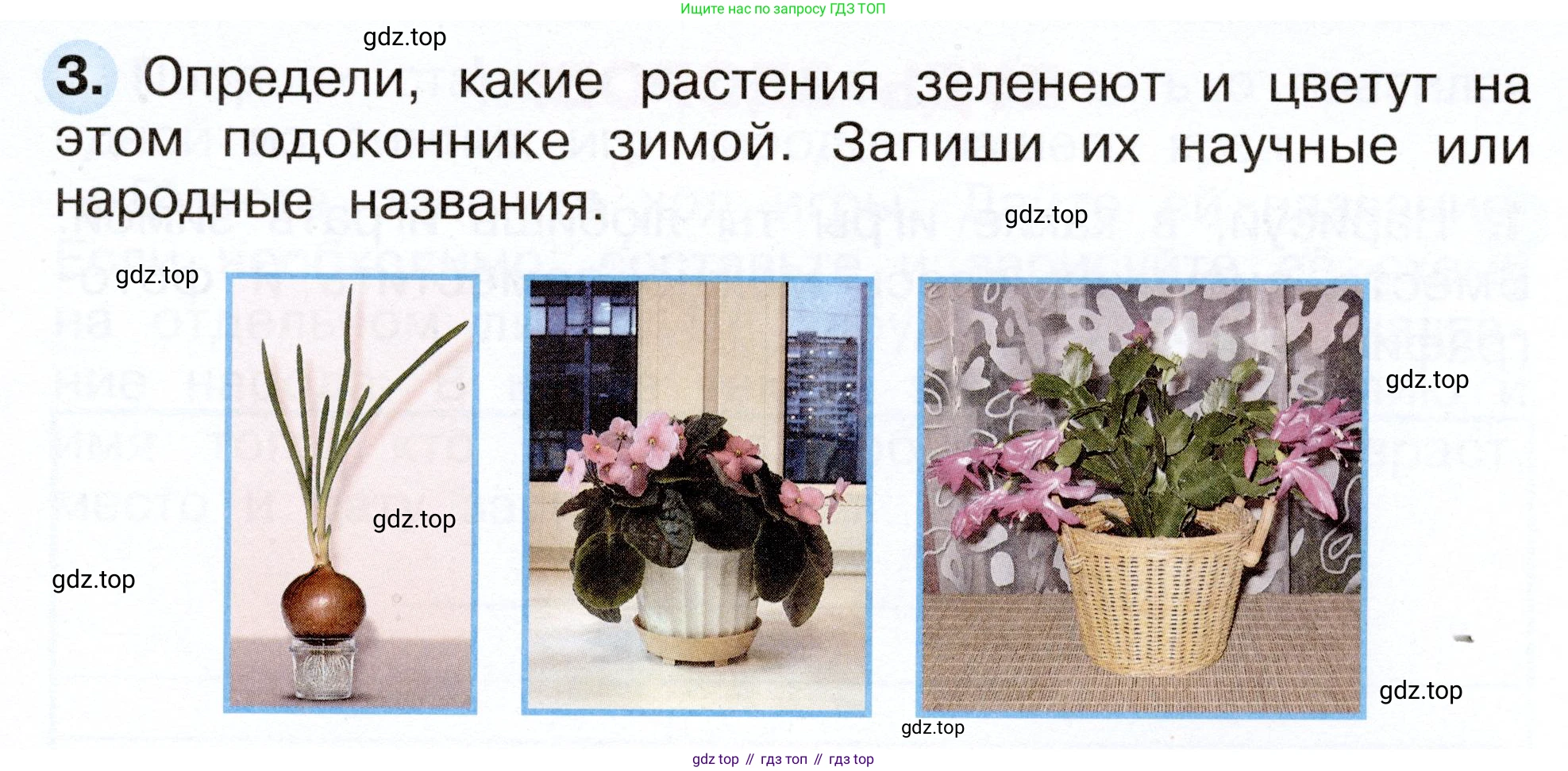 Окружающий мир, 2 класс рабочая тетрадь, авторы: Плешаков Андрей Анатольевич, Новицкая Марина Юрьевна, издательство Просвещение, Москва, 2019, белого цвета, Часть 2, страница 25, номер 3, Условие
