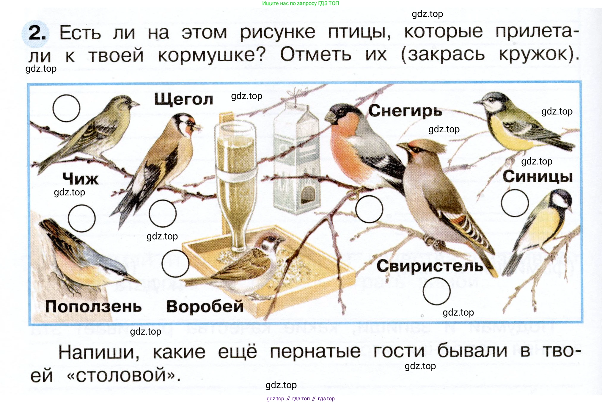 Окружающий мир, 2 класс рабочая тетрадь, авторы: Плешаков Андрей Анатольевич, Новицкая Марина Юрьевна, издательство Просвещение, Москва, 2019, белого цвета, Часть 2, страница 28, номер 2, Условие