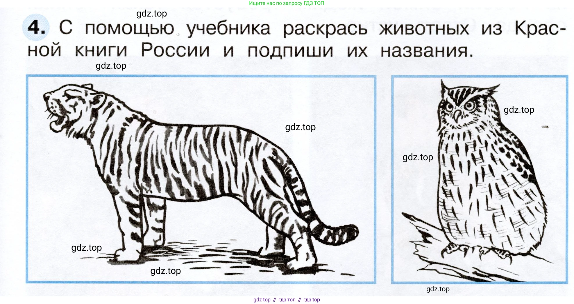Окружающий мир, 2 класс рабочая тетрадь, авторы: Плешаков Андрей Анатольевич, Новицкая Марина Юрьевна, издательство Просвещение, Москва, 2019, белого цвета, Часть 2, страница 29, номер 4, Условие