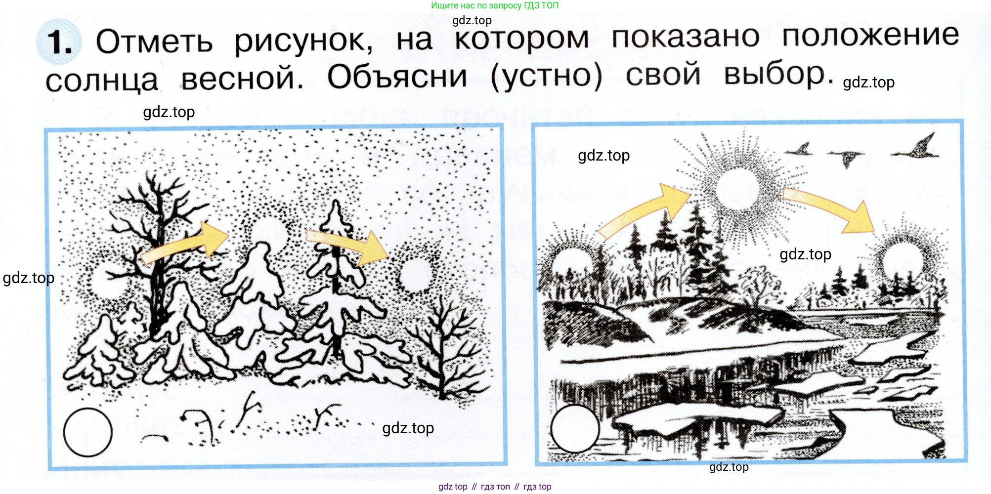 Окружающий мир, 2 класс рабочая тетрадь, авторы: Плешаков Андрей Анатольевич, Новицкая Марина Юрьевна, издательство Просвещение, Москва, 2019, белого цвета, Часть 2, страница 34, номер 1, Условие