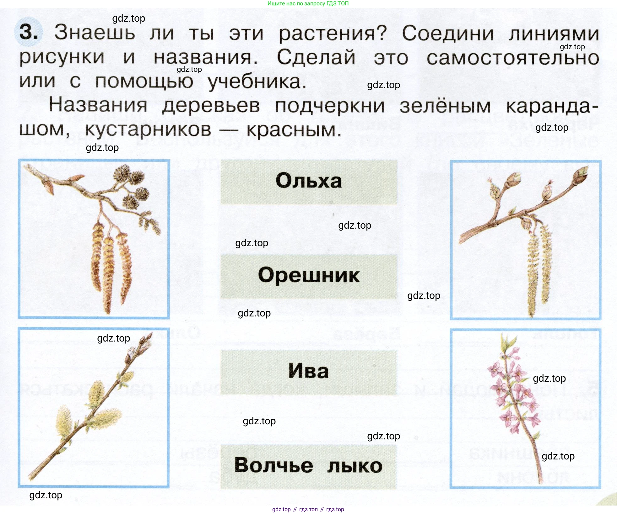 Окружающий мир, 2 класс рабочая тетрадь, авторы: Плешаков Андрей Анатольевич, Новицкая Марина Юрьевна, издательство Просвещение, Москва, 2019, белого цвета, Часть 2, страница 41, номер 3, Условие