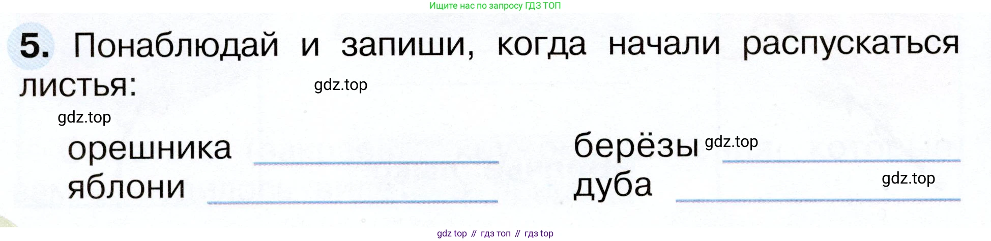 Окружающий мир, 2 класс рабочая тетрадь, авторы: Плешаков Андрей Анатольевич, Новицкая Марина Юрьевна, издательство Просвещение, Москва, 2019, белого цвета, Часть 2, страница 42, номер 5, Условие