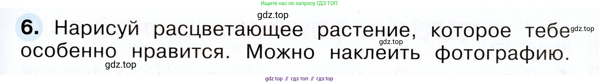 Окружающий мир, 2 класс рабочая тетрадь, авторы: Плешаков Андрей Анатольевич, Новицкая Марина Юрьевна, издательство Просвещение, Москва, 2019, белого цвета, Часть 2, страница 43, номер 6, Условие