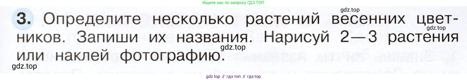 Окружающий мир, 2 класс рабочая тетрадь, авторы: Плешаков Андрей Анатольевич, Новицкая Марина Юрьевна, издательство Просвещение, Москва, 2019, белого цвета, Часть 2, страница 45, номер 3, Условие