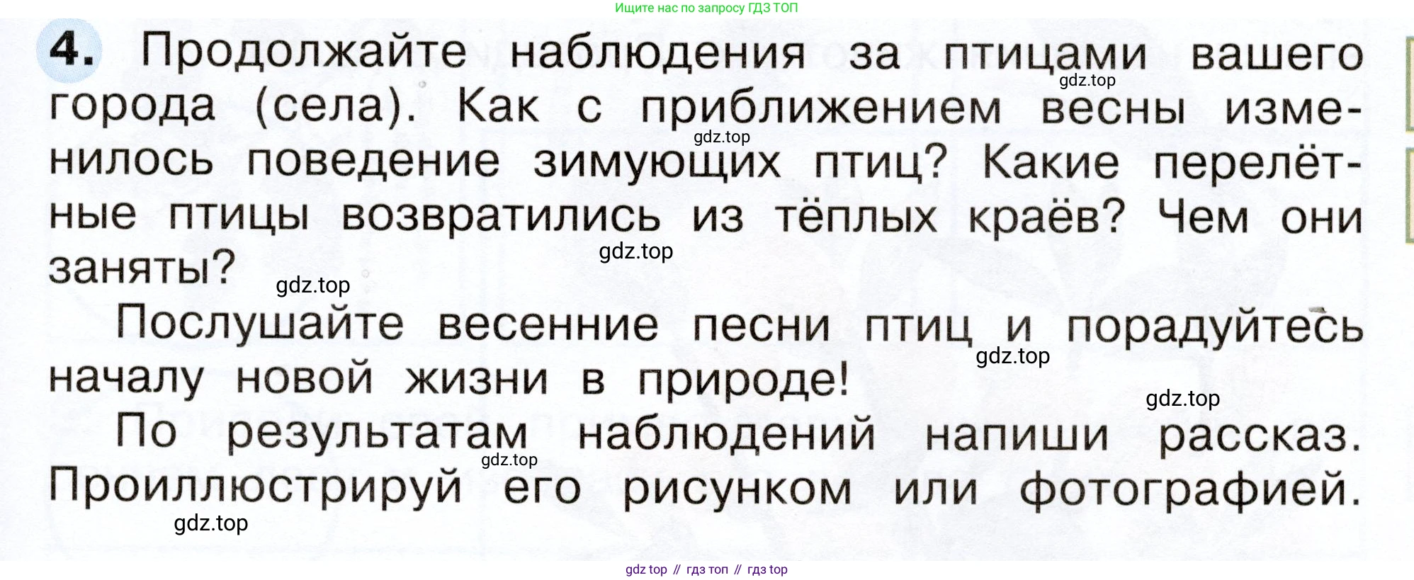 Окружающий мир, 2 класс рабочая тетрадь, авторы: Плешаков Андрей Анатольевич, Новицкая Марина Юрьевна, издательство Просвещение, Москва, 2019, белого цвета, Часть 2, страница 49, номер 4, Условие