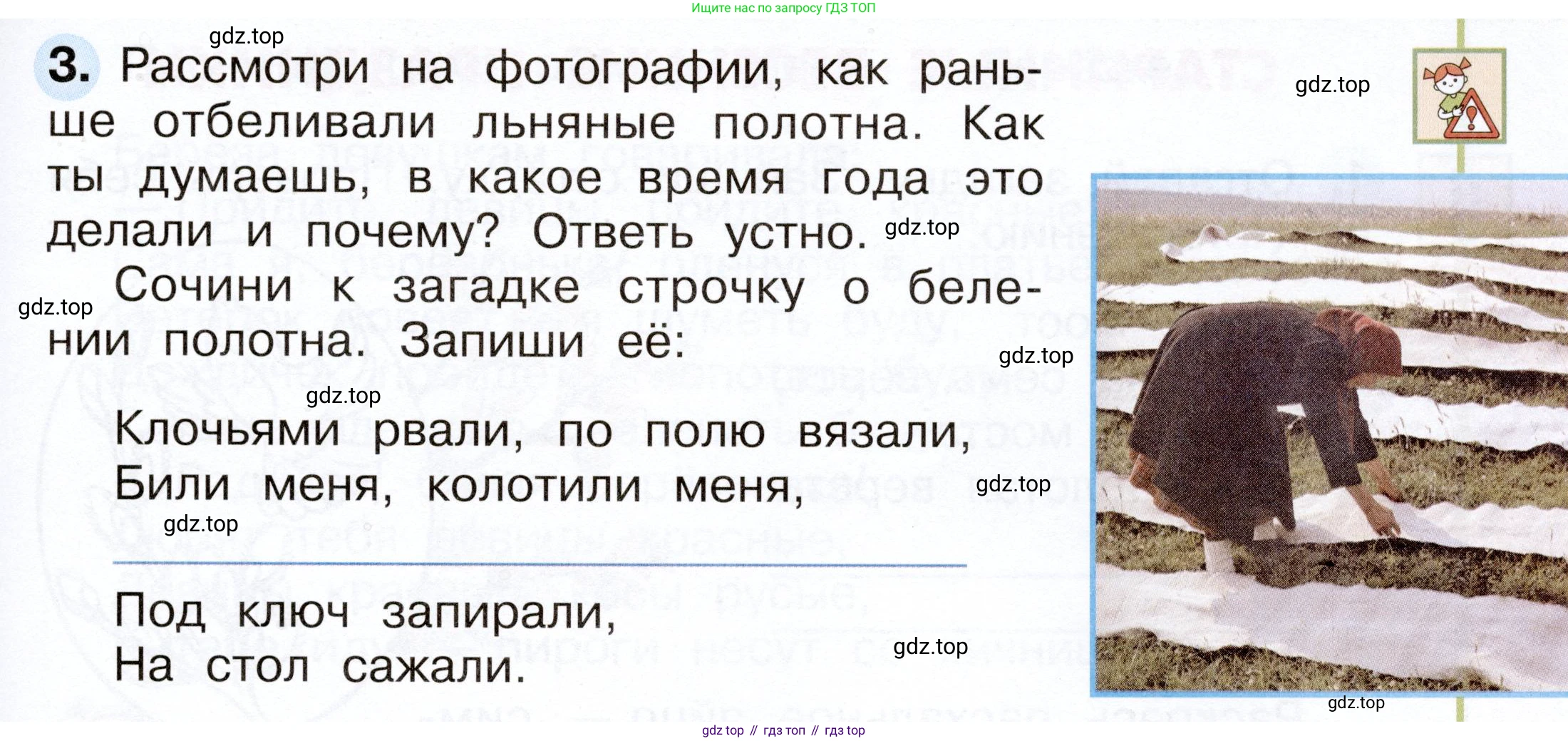 Окружающий мир, 2 класс рабочая тетрадь, авторы: Плешаков Андрей Анатольевич, Новицкая Марина Юрьевна, издательство Просвещение, Москва, 2019, белого цвета, Часть 2, страница 53, номер 3, Условие
