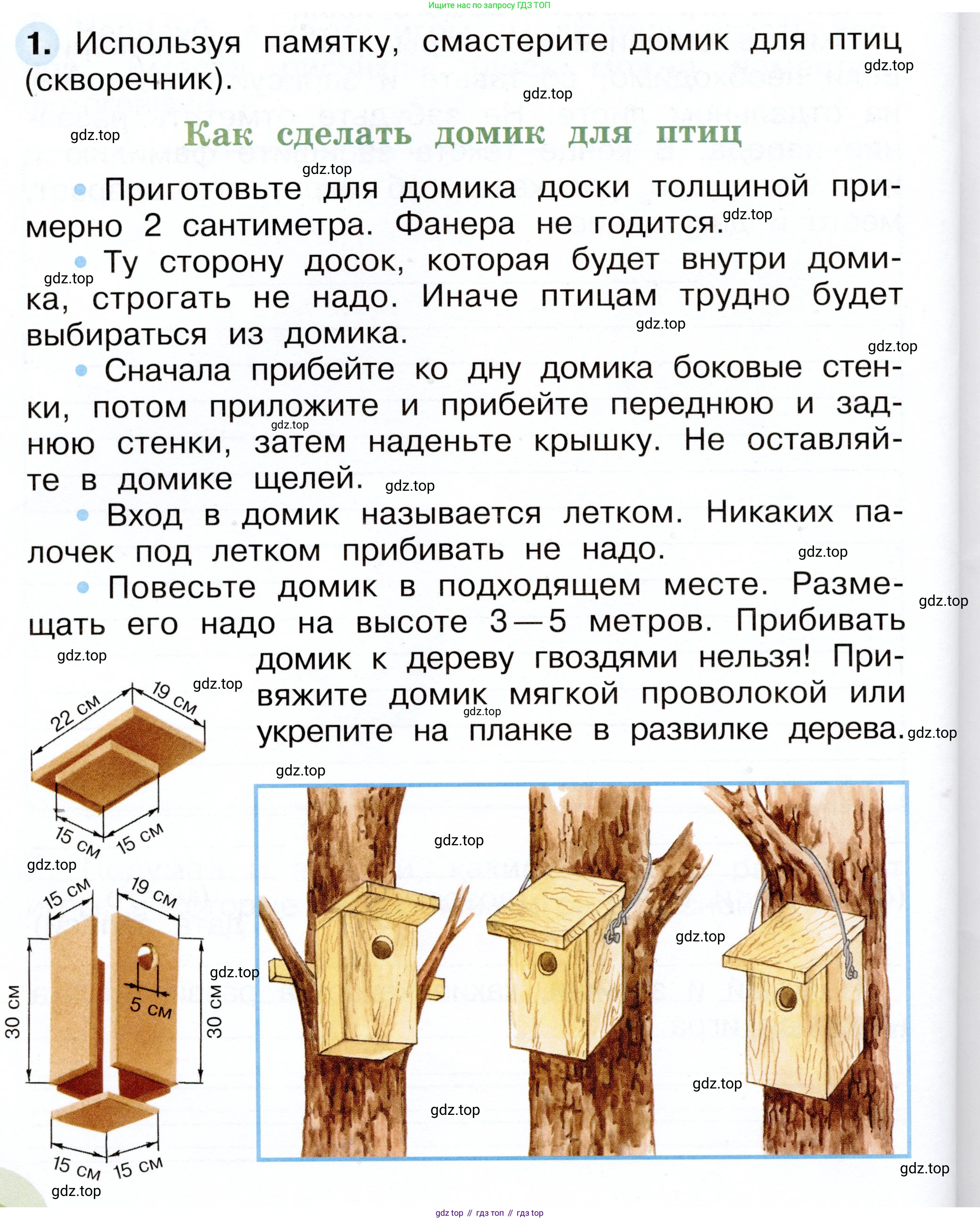 Окружающий мир, 2 класс рабочая тетрадь, авторы: Плешаков Андрей Анатольевич, Новицкая Марина Юрьевна, издательство Просвещение, Москва, 2019, белого цвета, Часть 2, страница 58, номер 1, Условие
