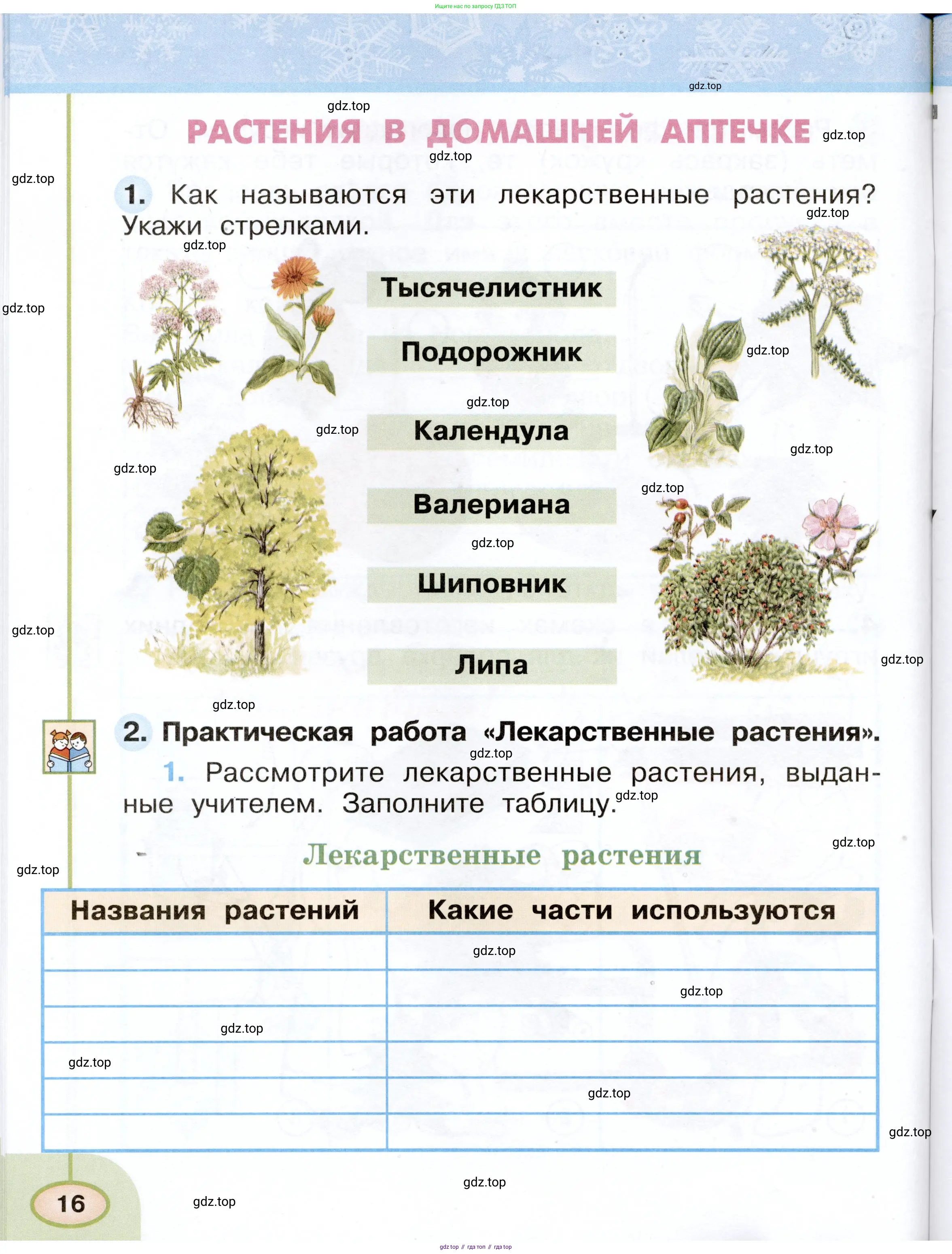 Окружающий мир, 2 класс рабочая тетрадь, авторы: Плешаков Андрей Анатольевич, Новицкая Марина Юрьевна, издательство Просвещение, Москва, 2019, белого цвета, Часть 1, страница 16