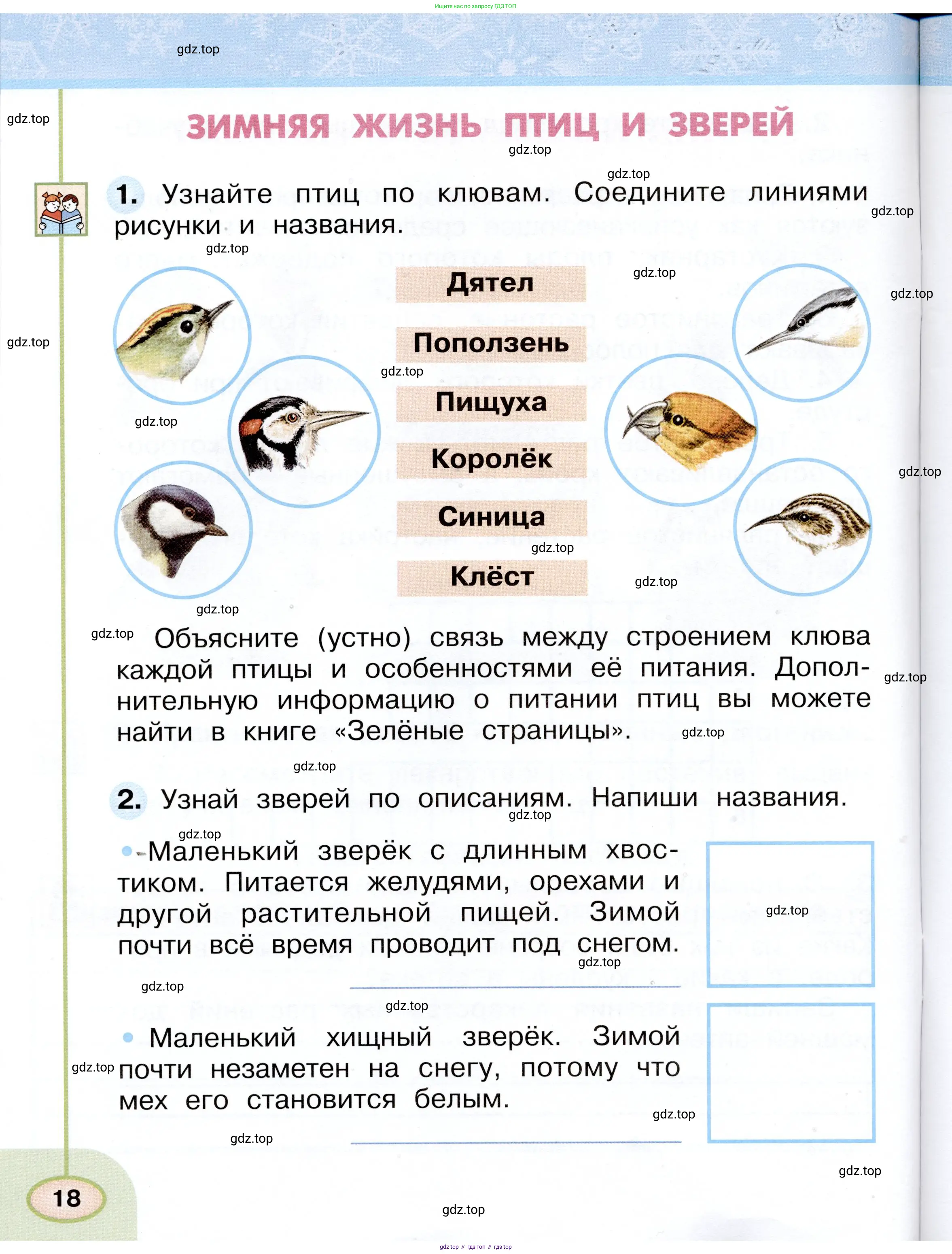 Окружающий мир, 2 класс рабочая тетрадь, авторы: Плешаков Андрей Анатольевич, Новицкая Марина Юрьевна, издательство Просвещение, Москва, 2019, белого цвета, Часть 1, страница 18