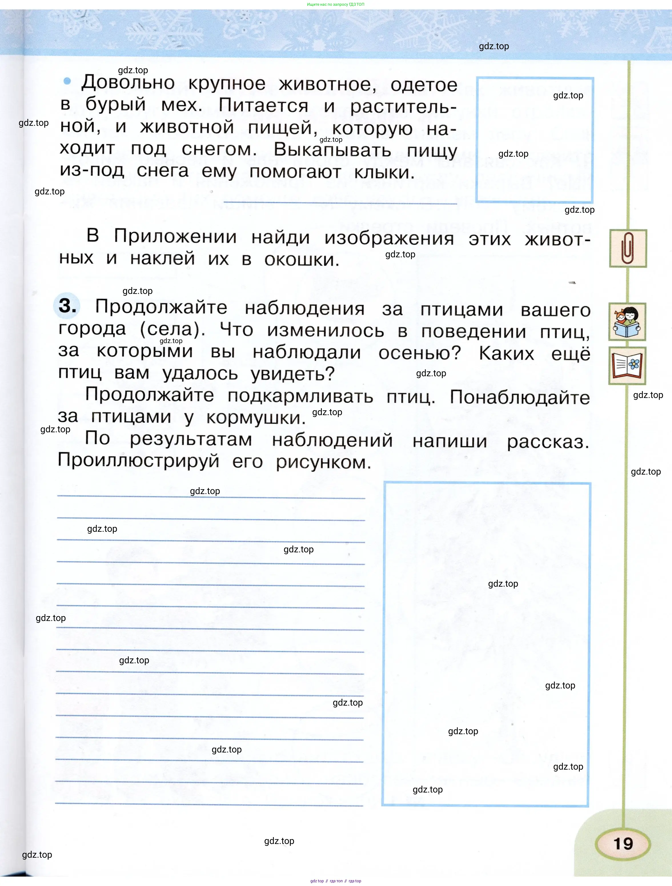 Окружающий мир, 2 класс рабочая тетрадь, авторы: Плешаков Андрей Анатольевич, Новицкая Марина Юрьевна, издательство Просвещение, Москва, 2019, белого цвета, Часть 1, страница 19