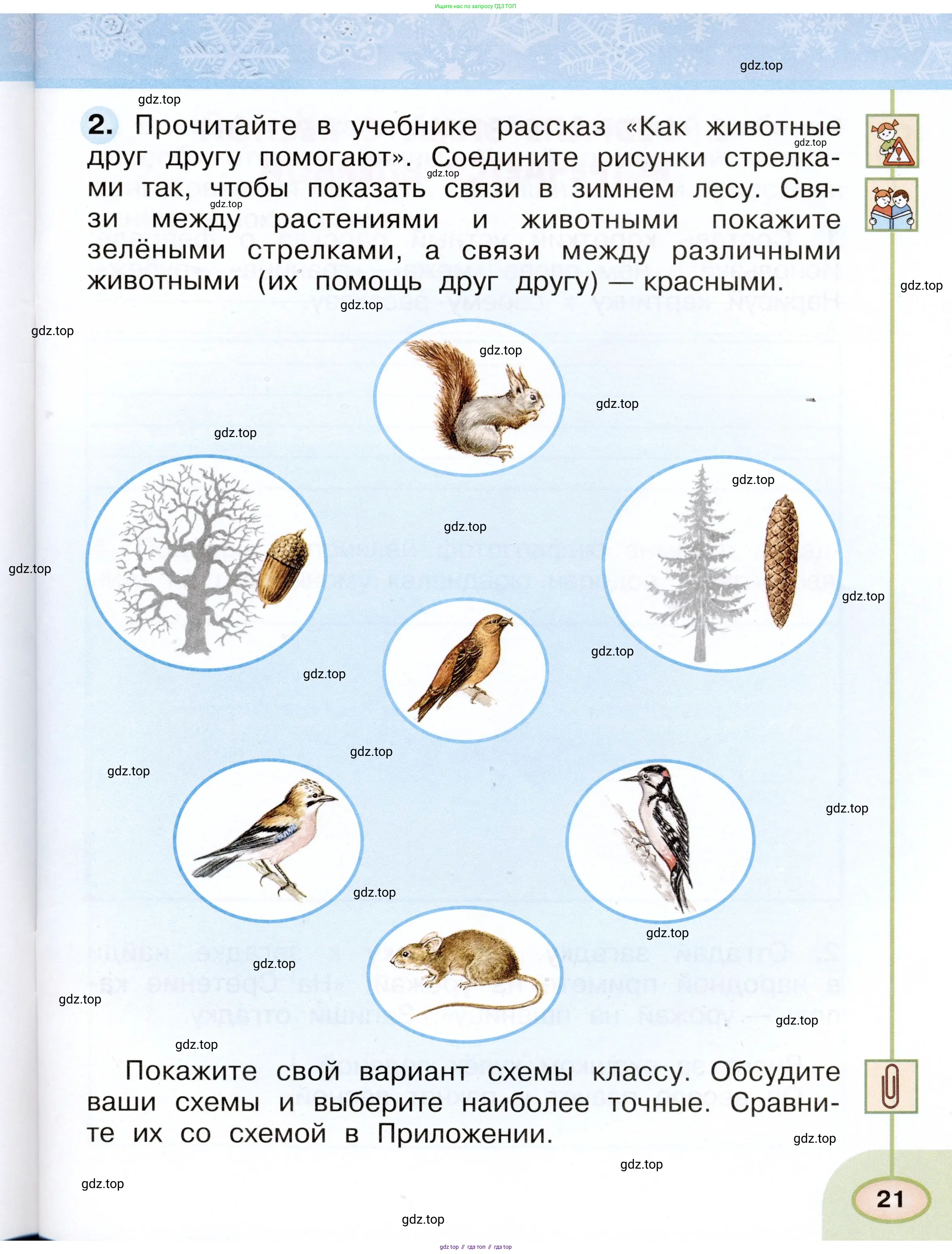 Окружающий мир, 2 класс рабочая тетрадь, авторы: Плешаков Андрей Анатольевич, Новицкая Марина Юрьевна, издательство Просвещение, Москва, 2019, белого цвета, Часть 1, страница 21