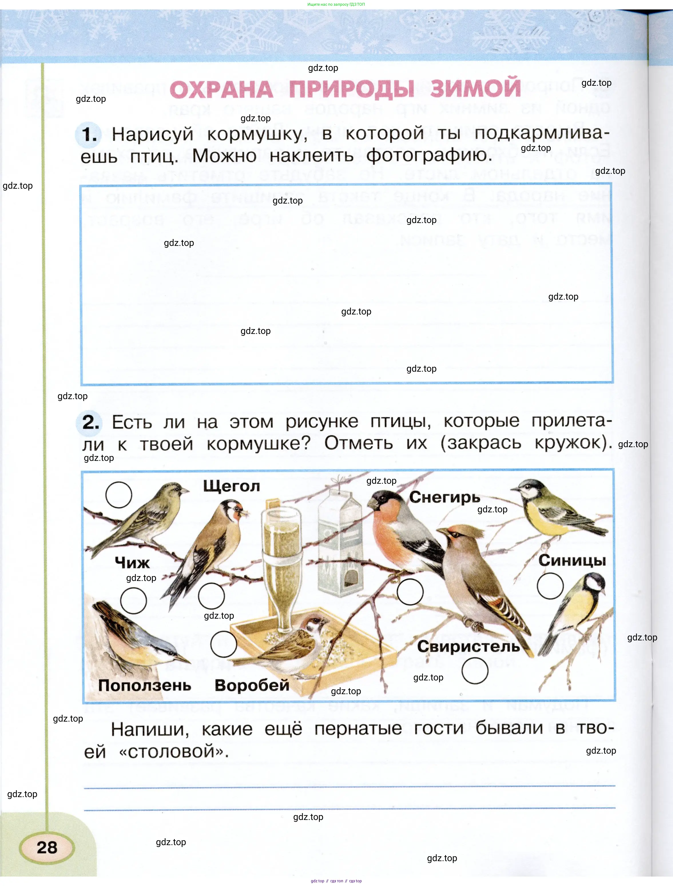 Окружающий мир, 2 класс рабочая тетрадь, авторы: Плешаков Андрей Анатольевич, Новицкая Марина Юрьевна, издательство Просвещение, Москва, 2019, белого цвета, Часть 1, страница 28