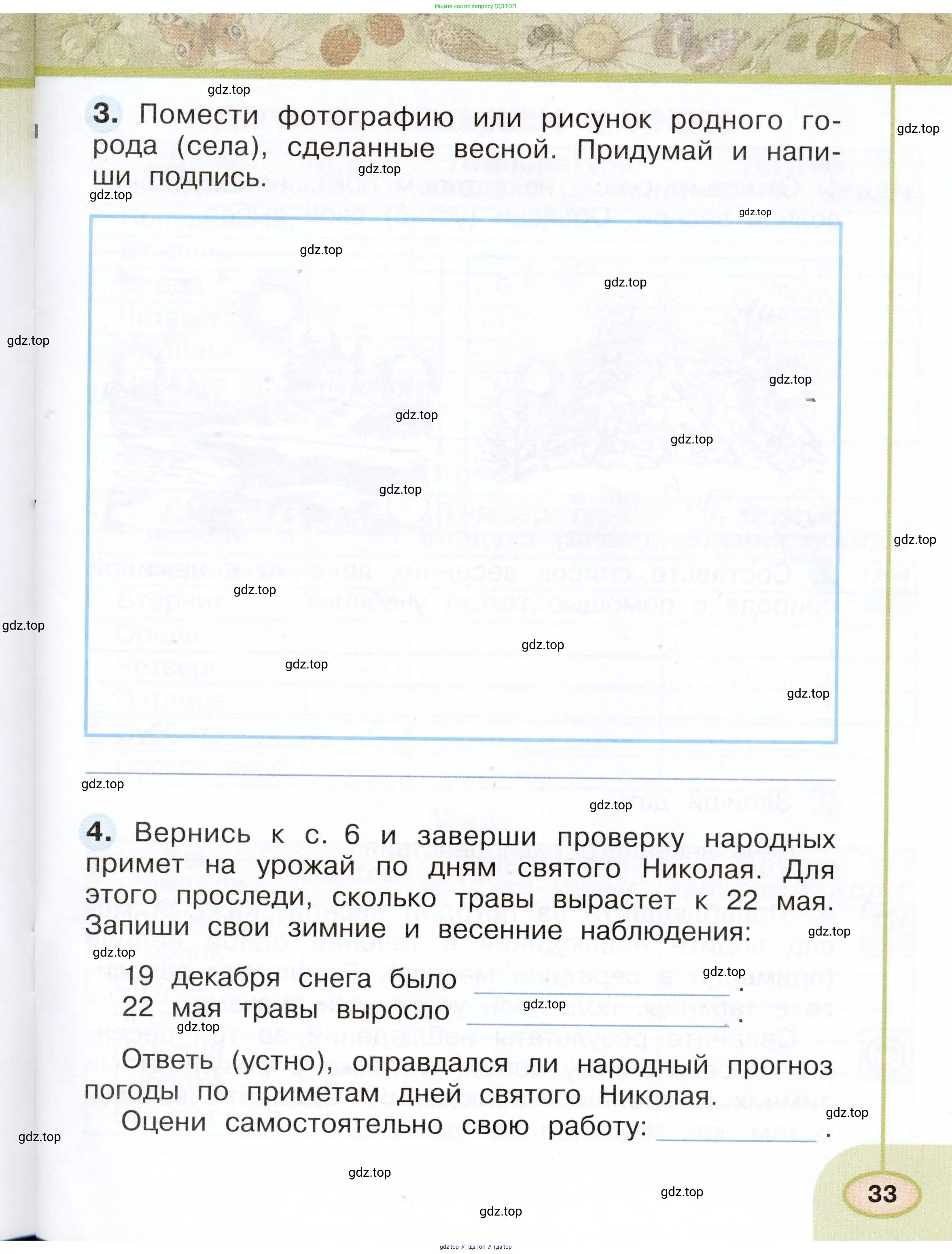Окружающий мир, 2 класс рабочая тетрадь, авторы: Плешаков Андрей Анатольевич, Новицкая Марина Юрьевна, издательство Просвещение, Москва, 2019, белого цвета, Часть 1, страница 33