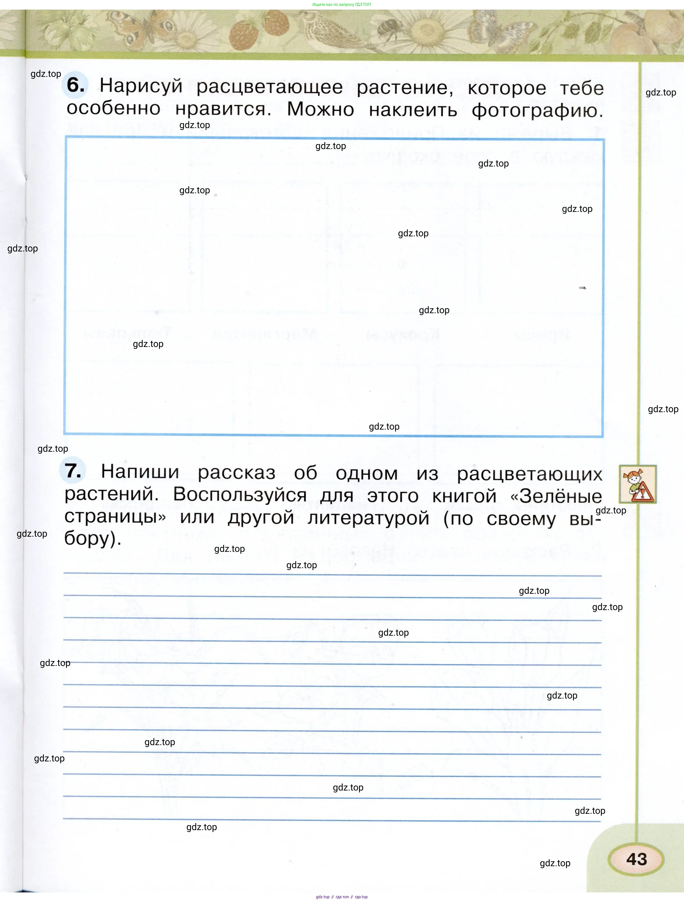 Окружающий мир, 2 класс рабочая тетрадь, авторы: Плешаков Андрей Анатольевич, Новицкая Марина Юрьевна, издательство Просвещение, Москва, 2019, белого цвета, Часть 1, страница 43
