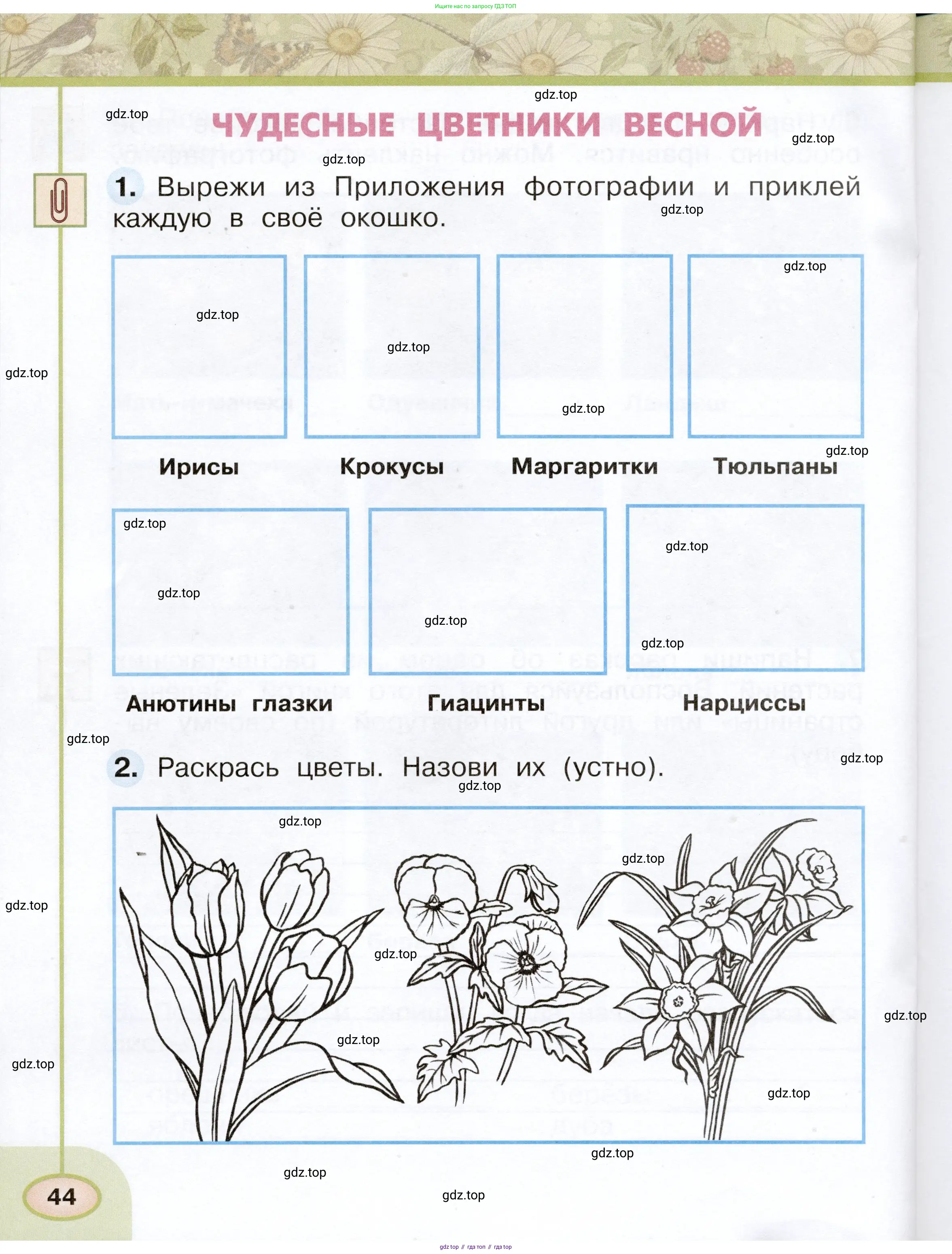 Окружающий мир, 2 класс рабочая тетрадь, авторы: Плешаков Андрей Анатольевич, Новицкая Марина Юрьевна, издательство Просвещение, Москва, 2019, белого цвета, Часть 1, страница 44