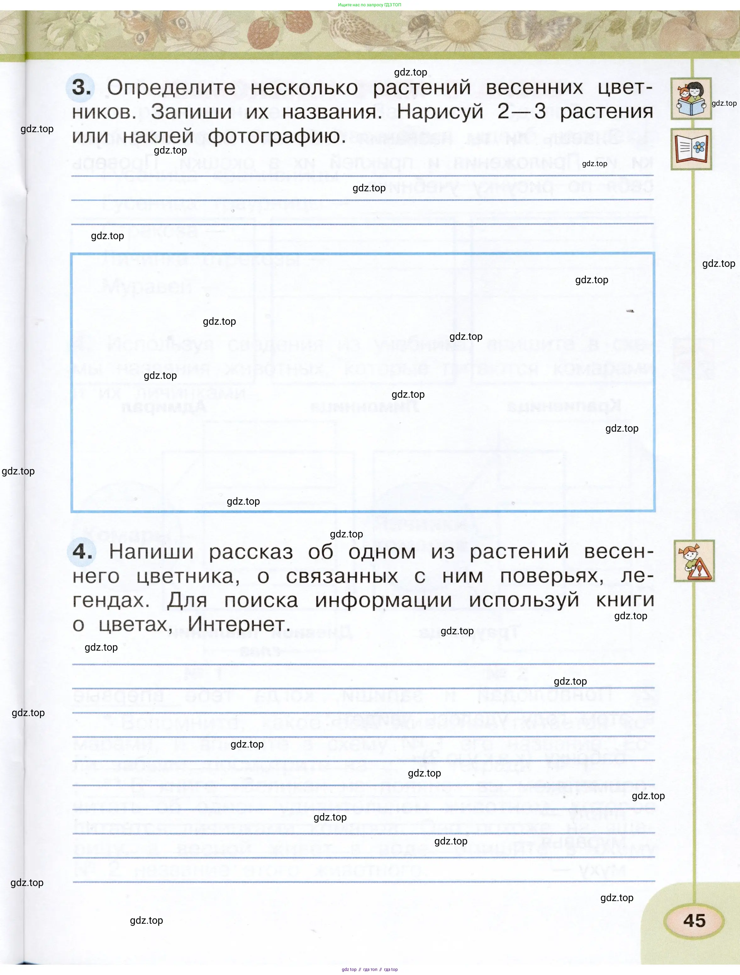 Окружающий мир, 2 класс рабочая тетрадь, авторы: Плешаков Андрей Анатольевич, Новицкая Марина Юрьевна, издательство Просвещение, Москва, 2019, белого цвета, Часть 1, страница 45
