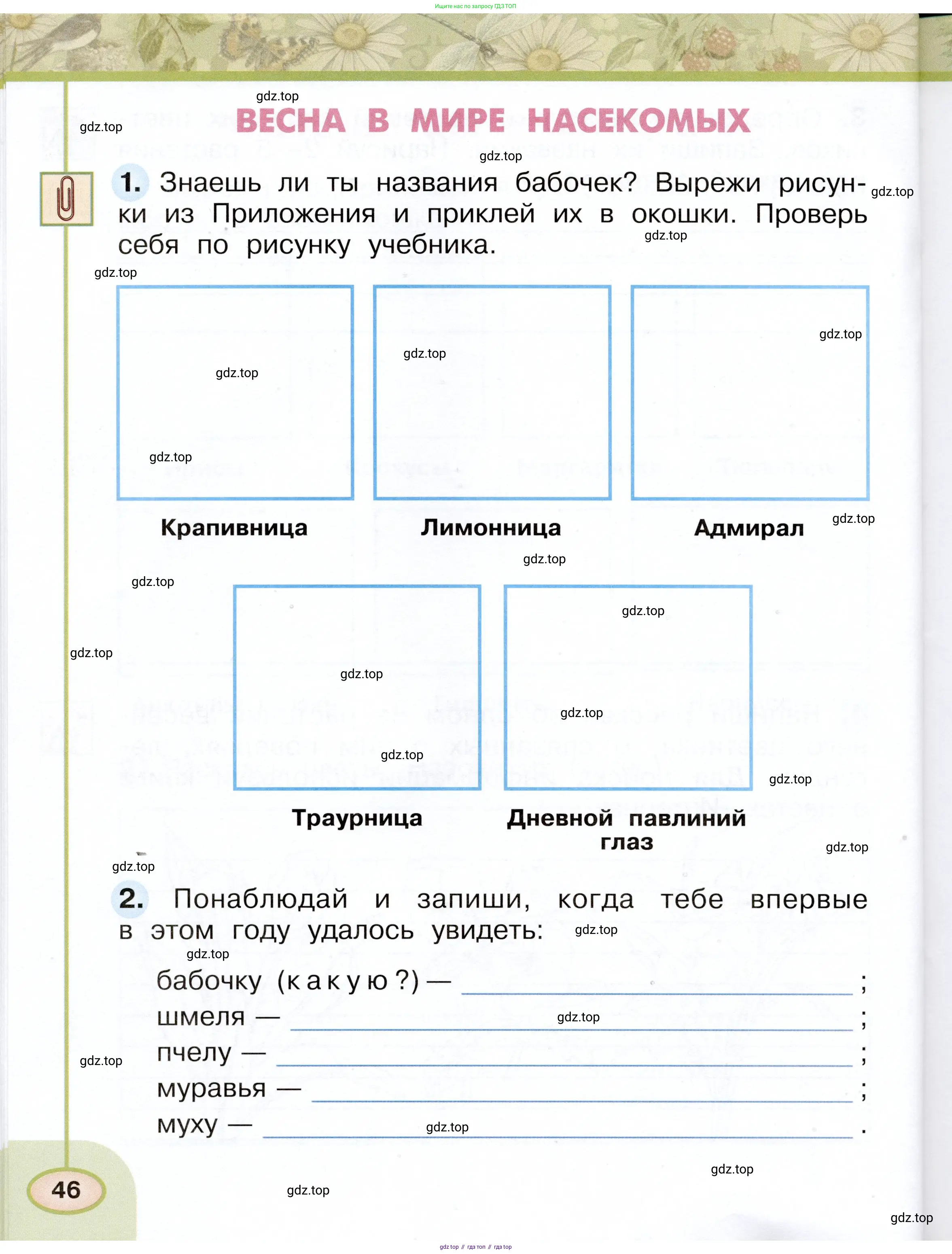 Окружающий мир, 2 класс рабочая тетрадь, авторы: Плешаков Андрей Анатольевич, Новицкая Марина Юрьевна, издательство Просвещение, Москва, 2019, белого цвета, Часть 1, страница 46